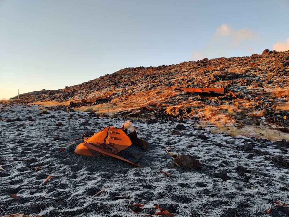 Un par de zapatos naranjas sentados en la cima de una colina rocosa