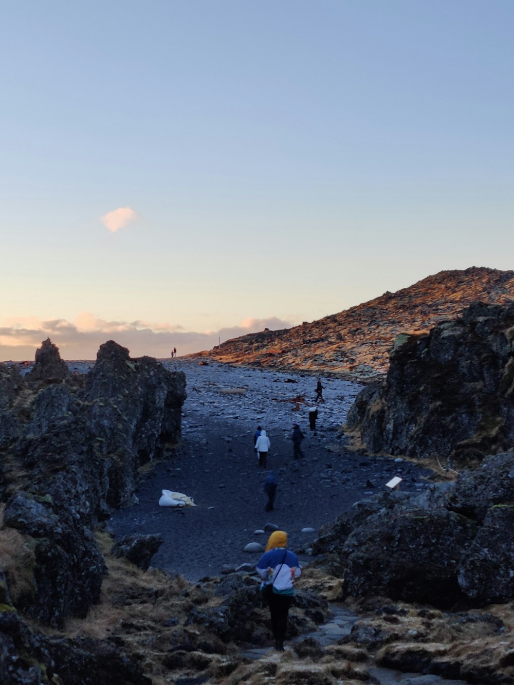 a group of people standing on top of a rocky beach