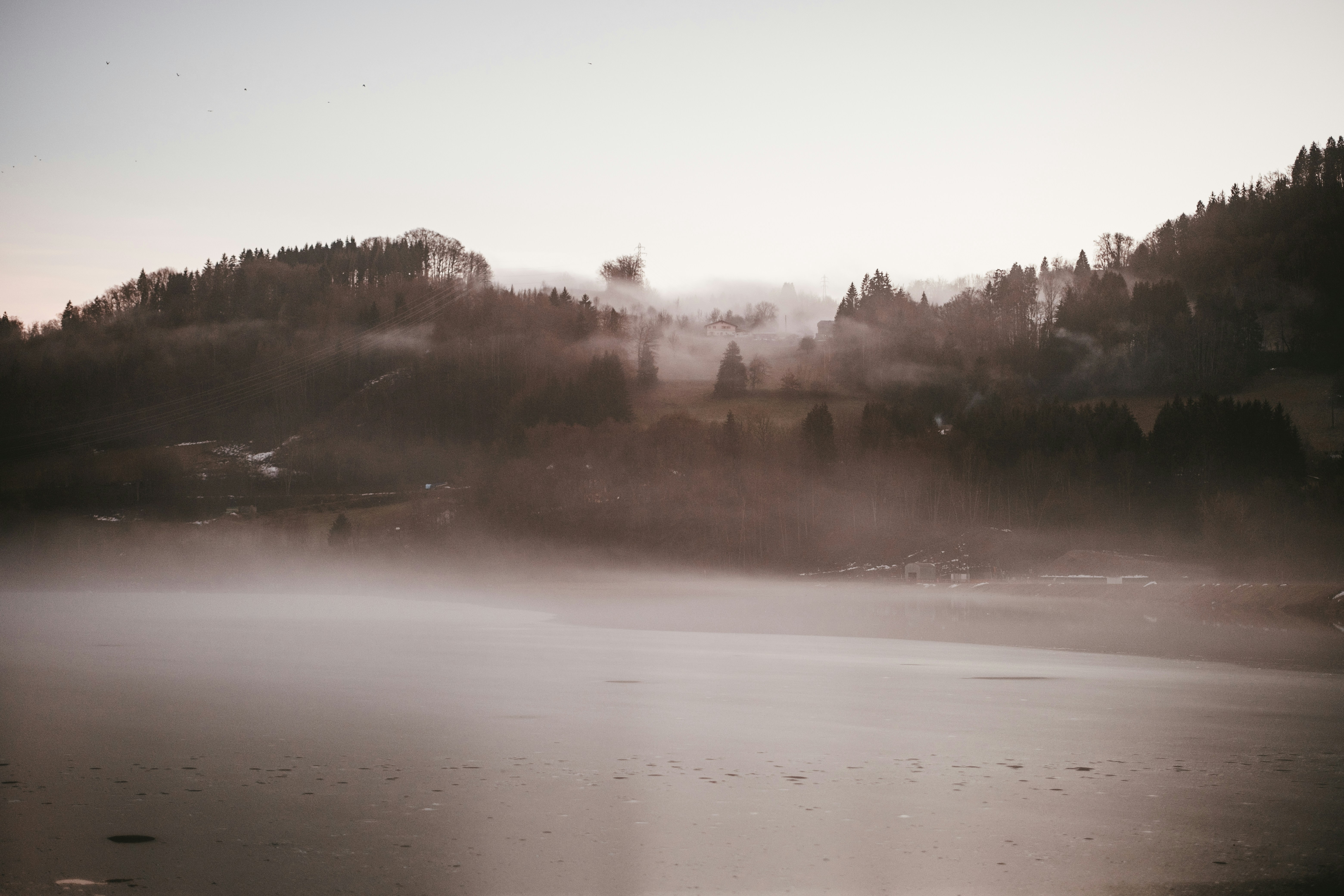 Photo by purzlbaum