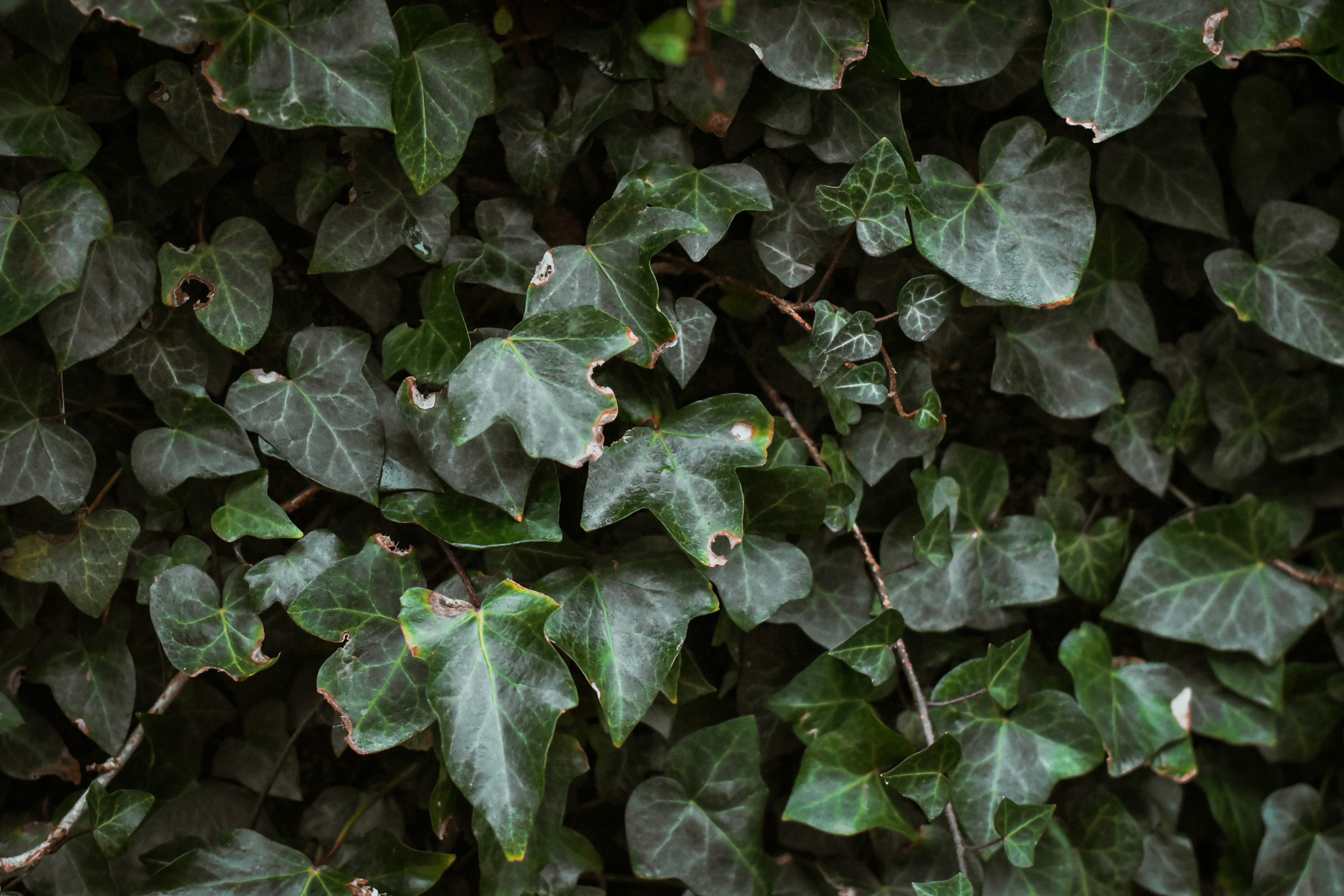 Photo by elliottmason