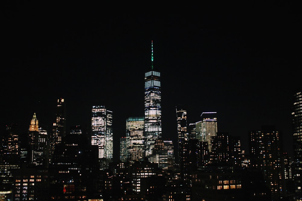 a view of a city skyline at night