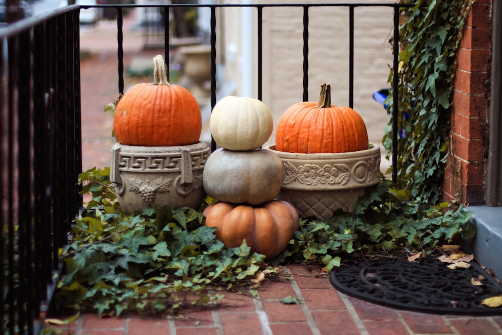 a group of pumpkins sitting on top of a planter