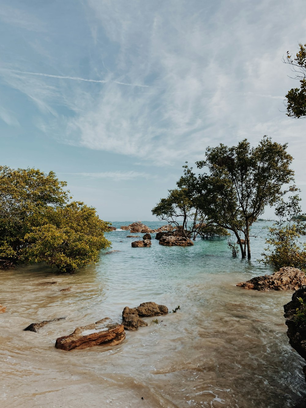 a body of water surrounded by trees and rocks