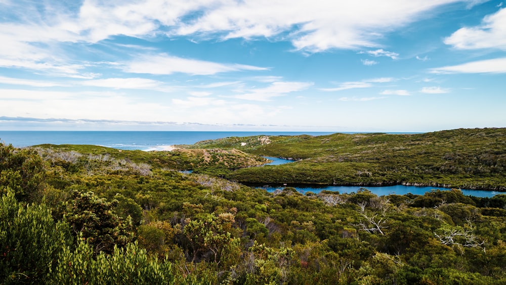 uma vista panorâmica de um corpo de água cercado por árvores