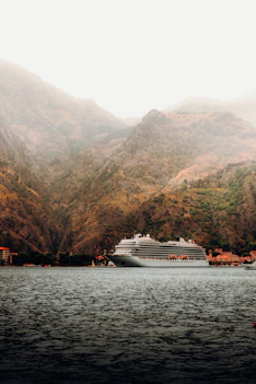 a large cruise ship in a body of water