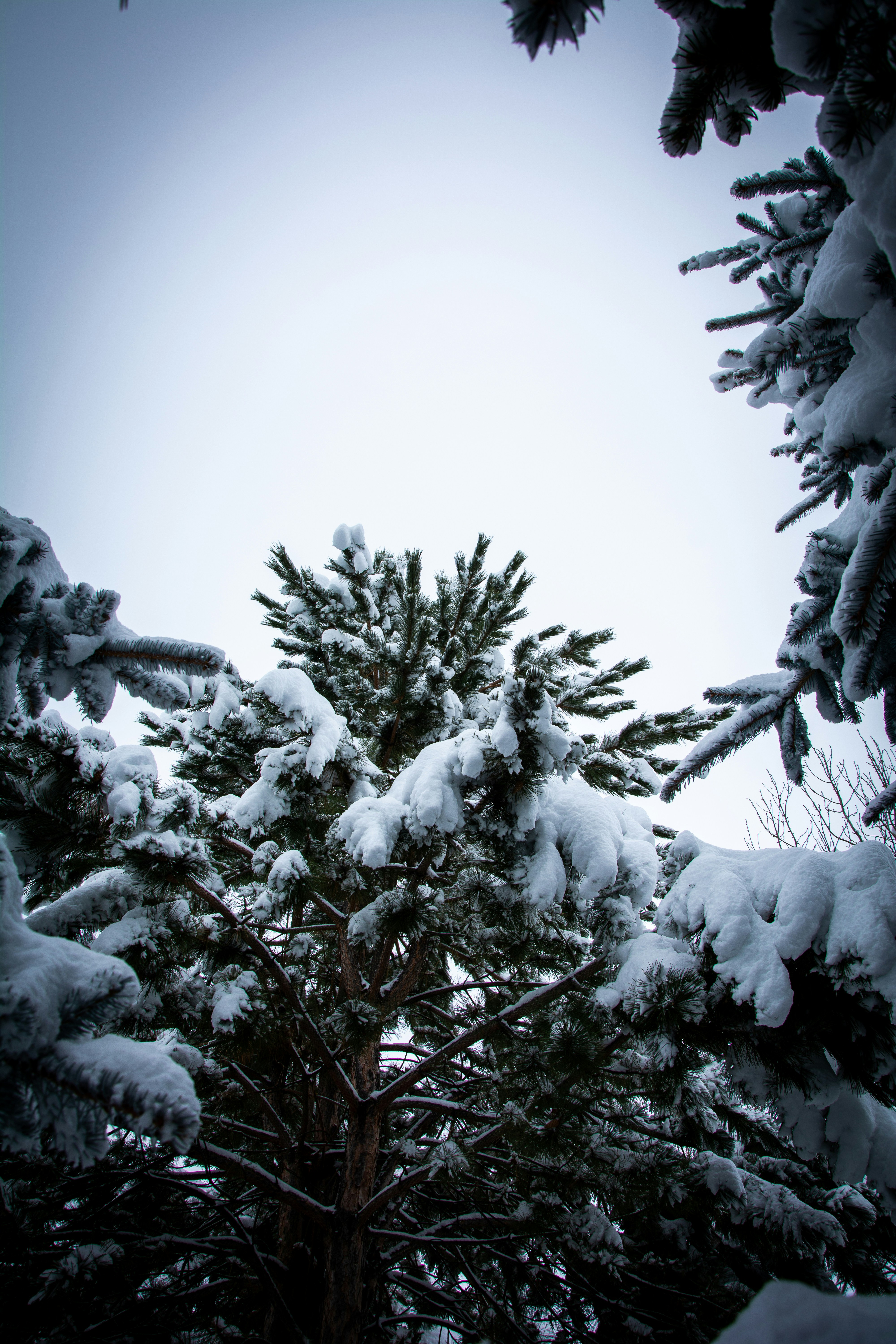 Photo by ethan_olarte