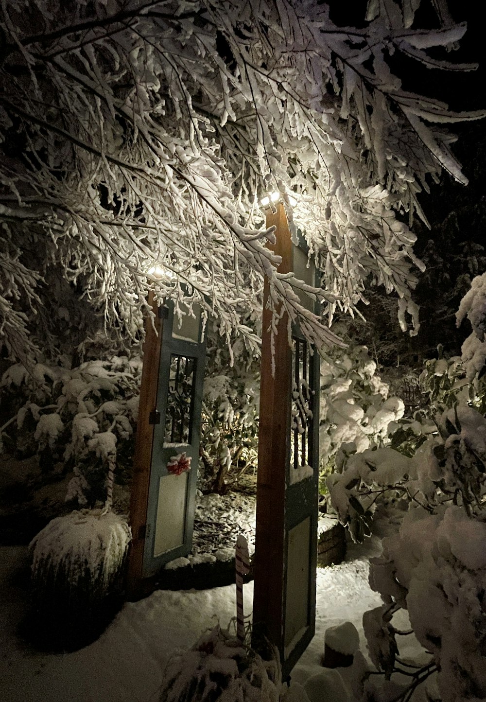 a snow covered tree with a light on it