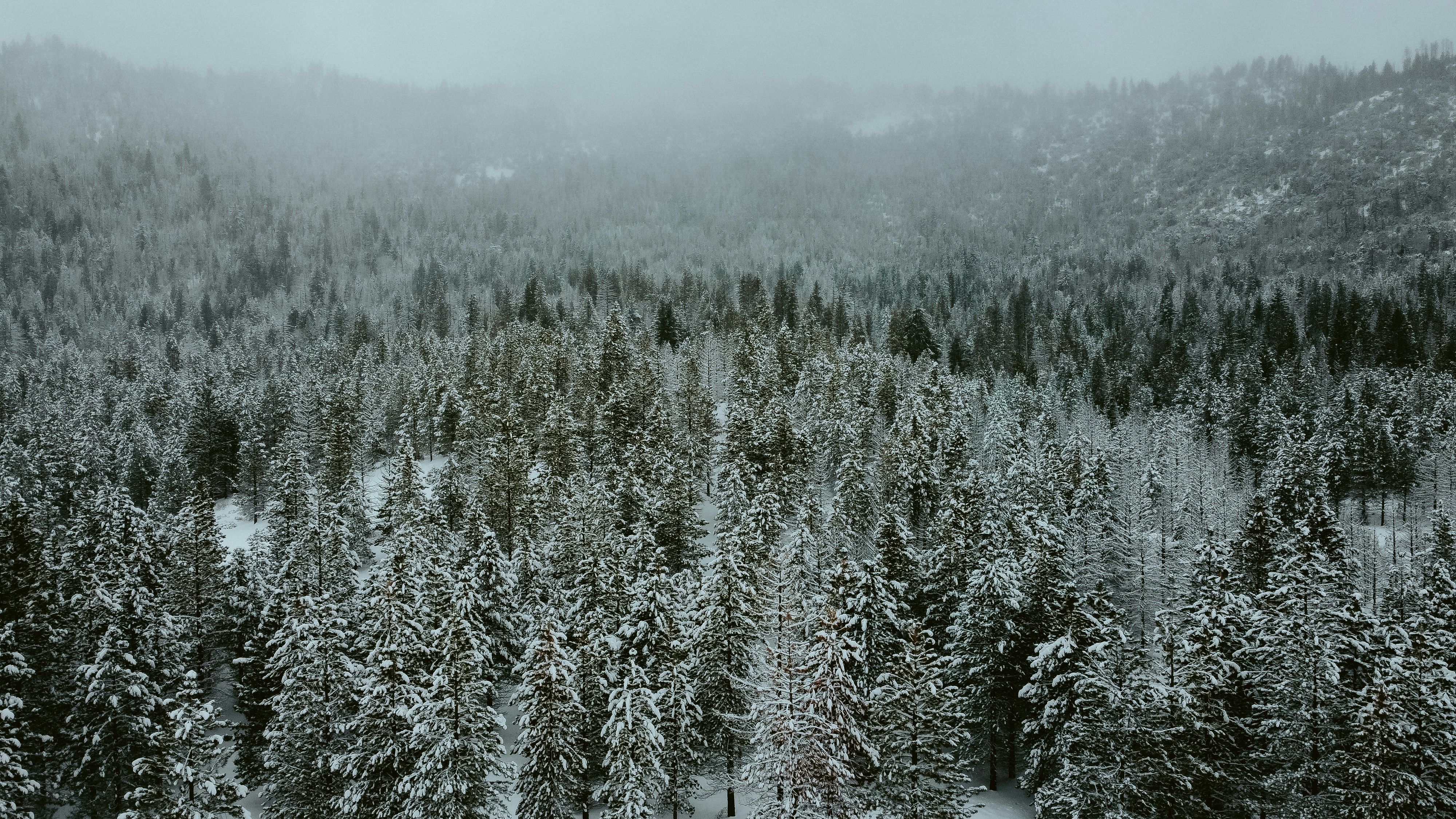 Photo by jeffersonsees