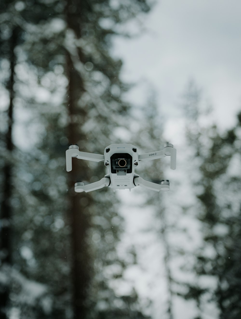 a camera attached to the side of a tree