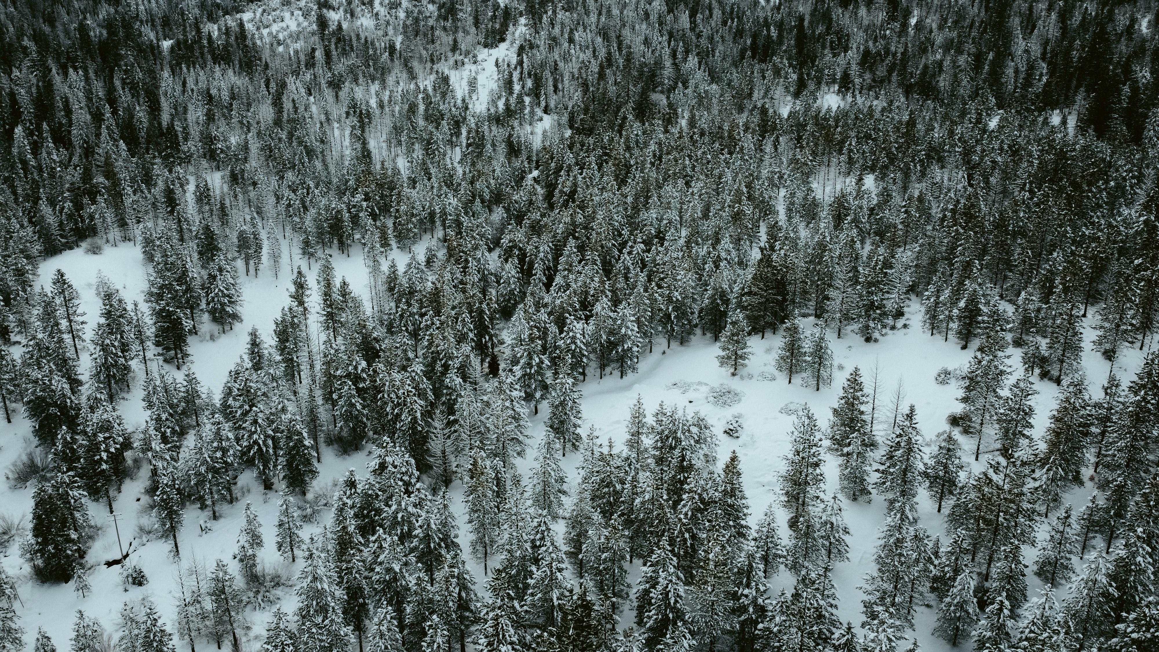 Photo by jeffersonsees