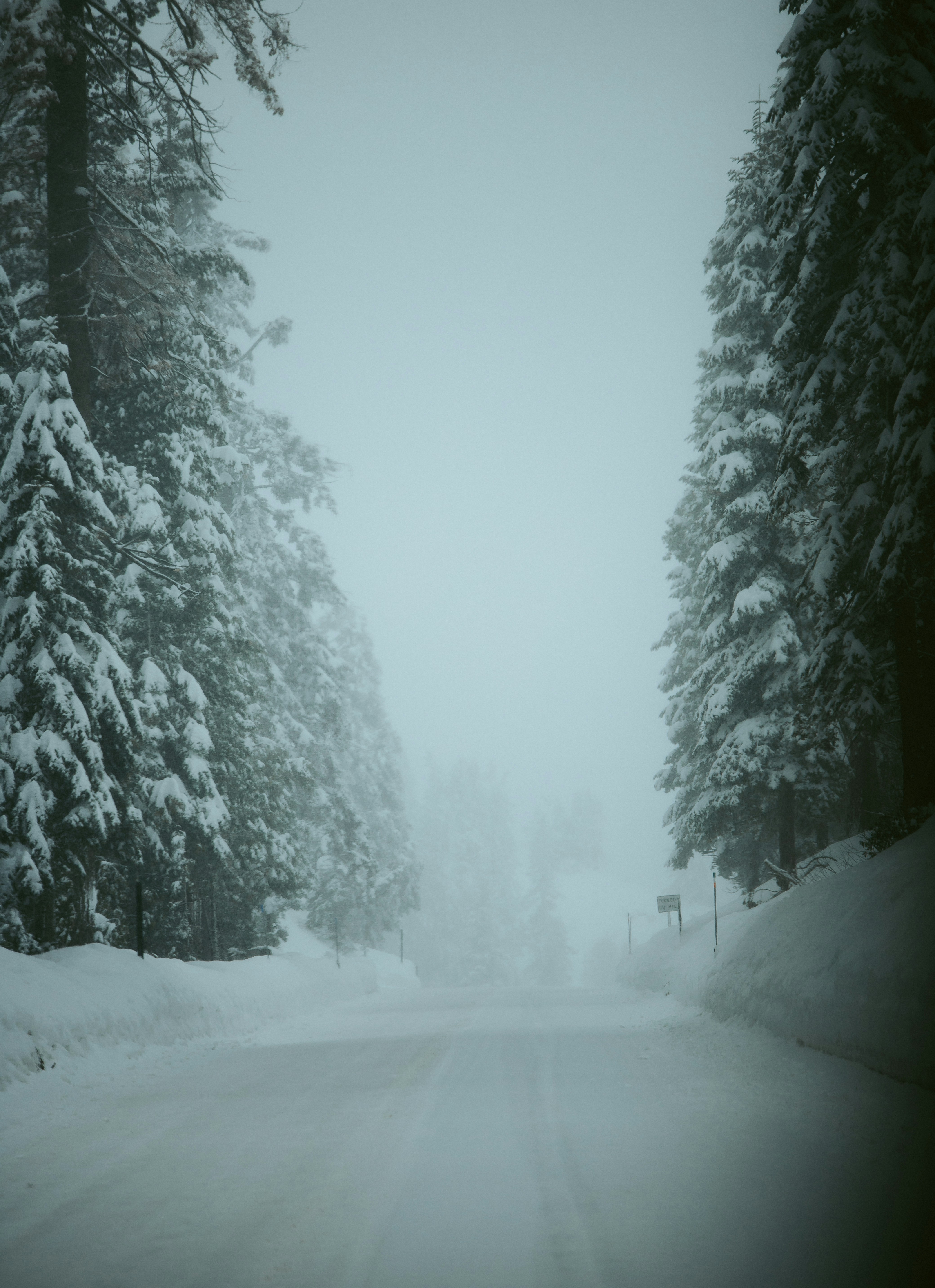 Photo by jeffersonsees