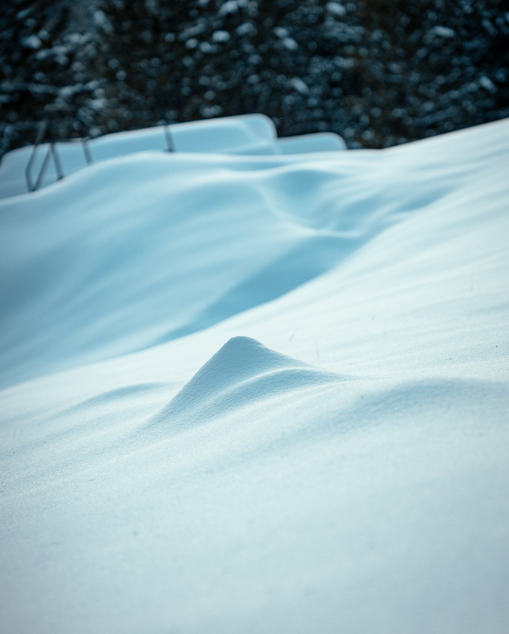 a snow covered field with trees in the background