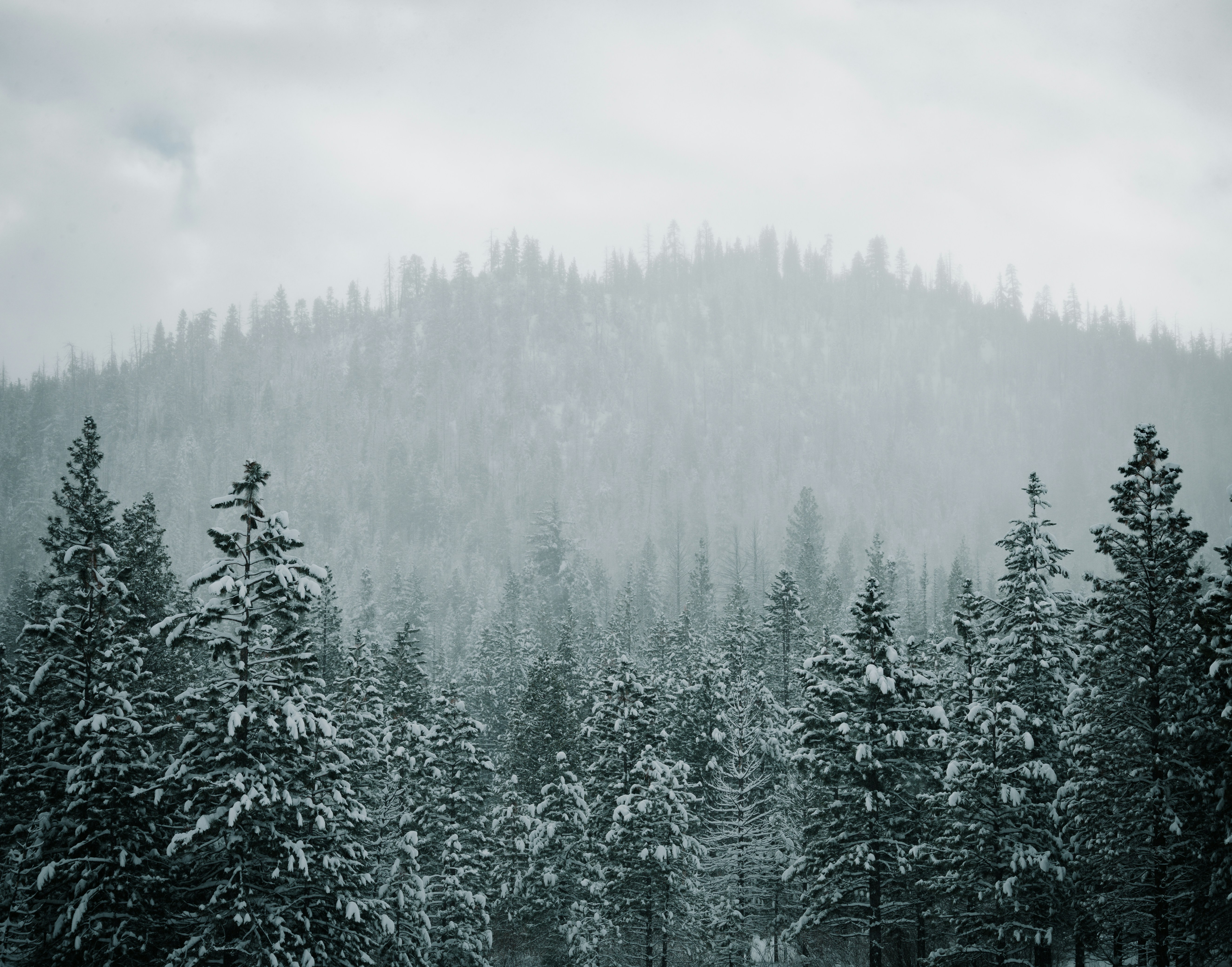 Photo by jeffersonsees