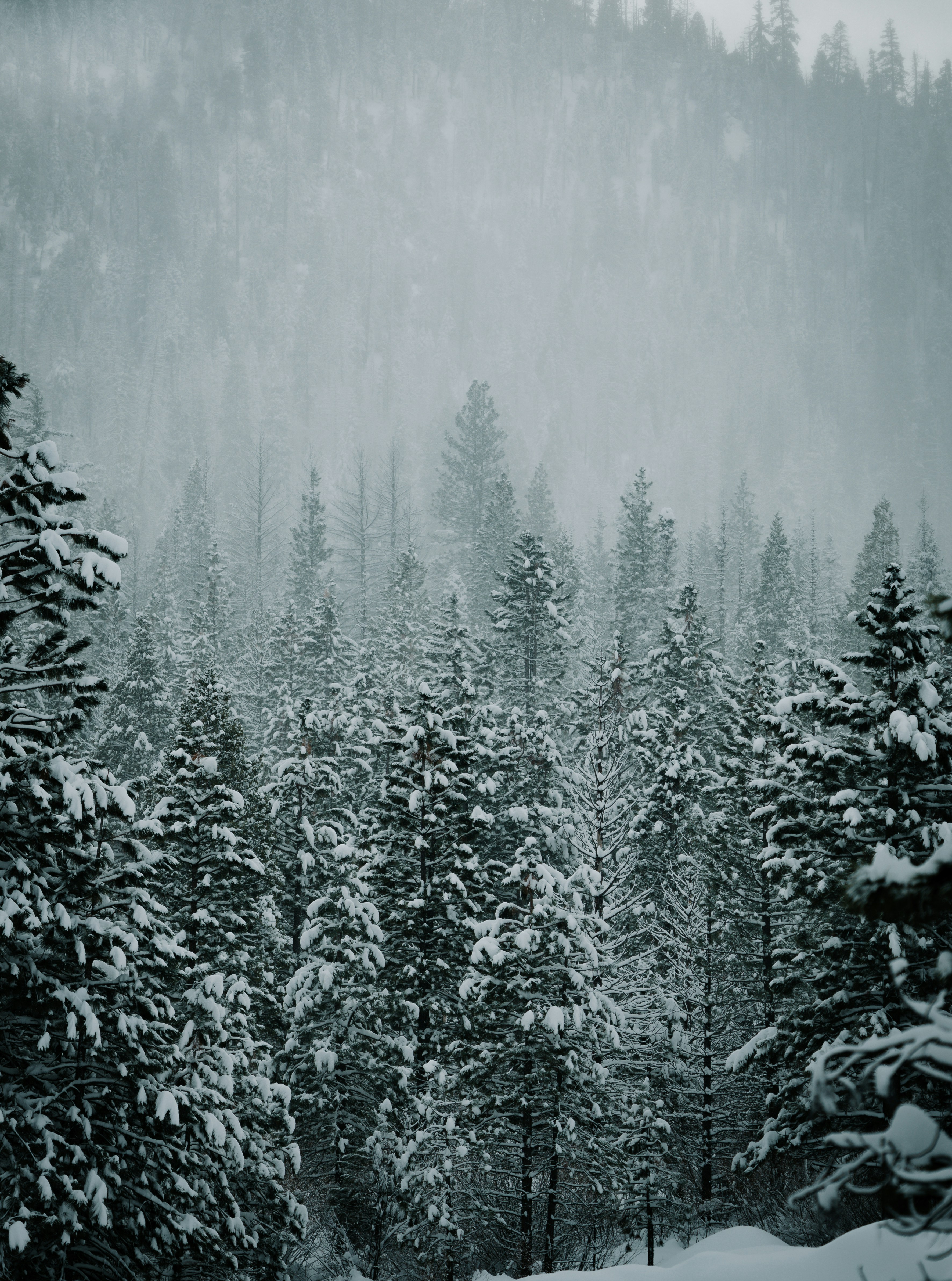 Photo by jeffersonsees