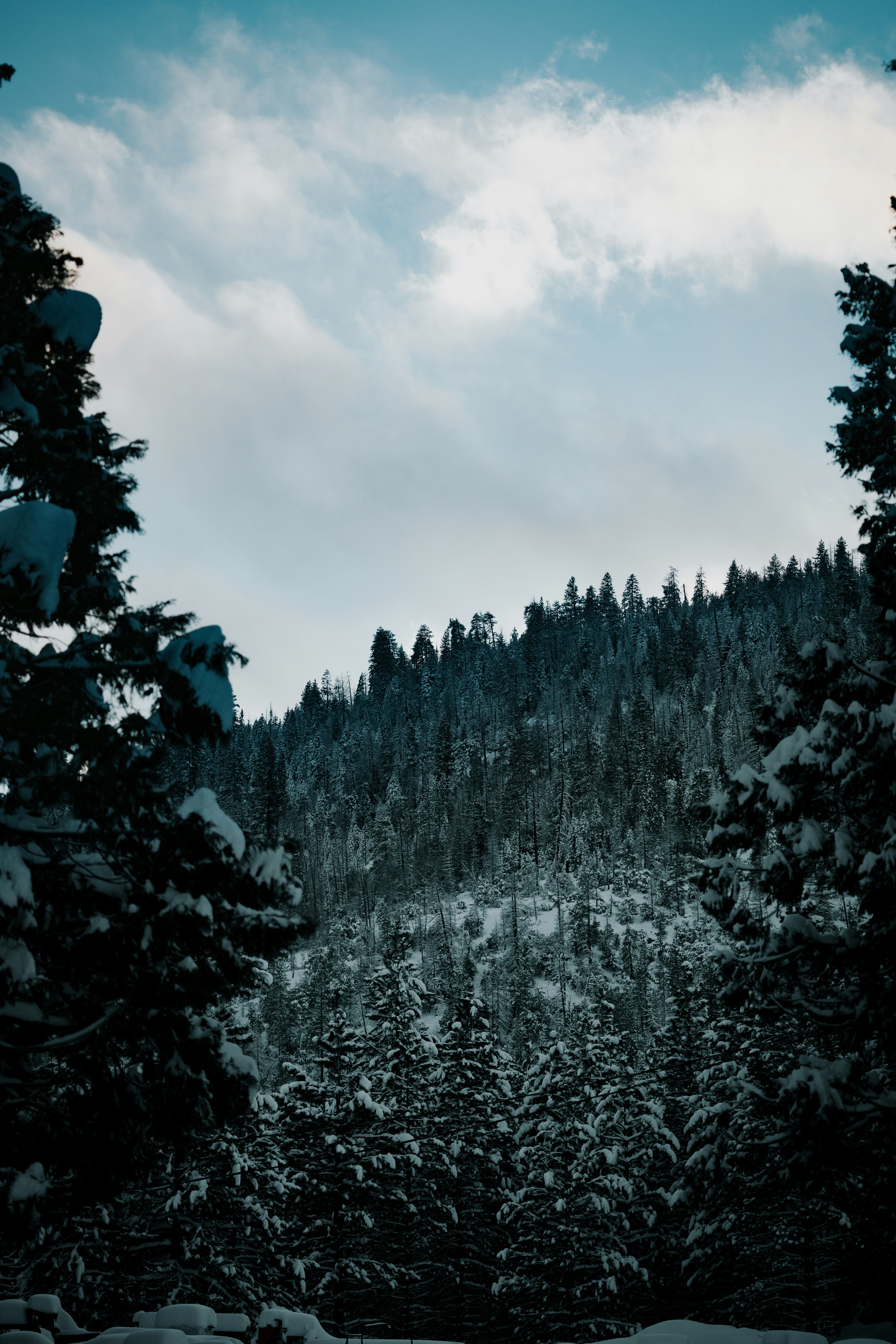 Photo by jeffersonsees