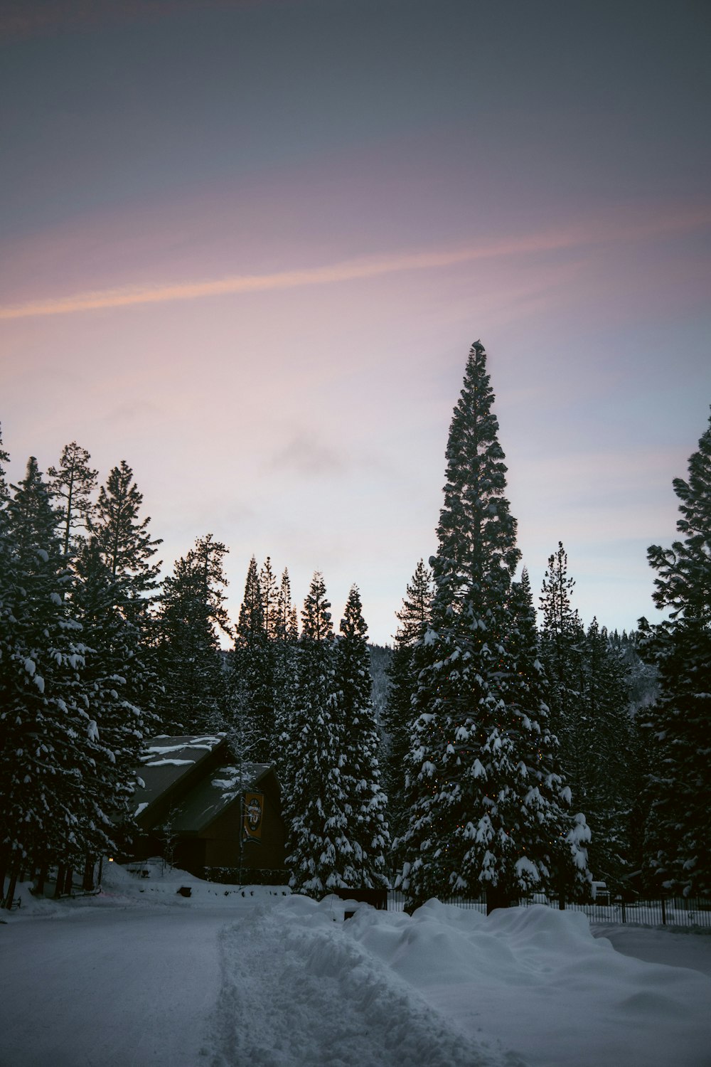 a snow covered road in front of some trees