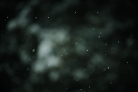 A close-up of a floating heading with soft shadow and subtle animation on a clean background.