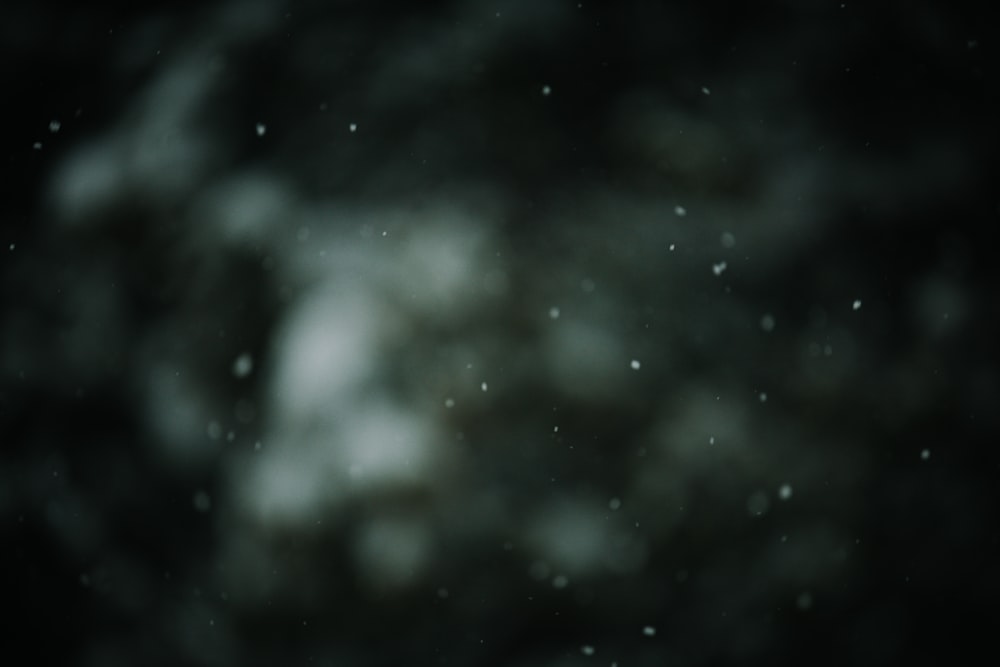 a blurry photo of snow falling from a tree