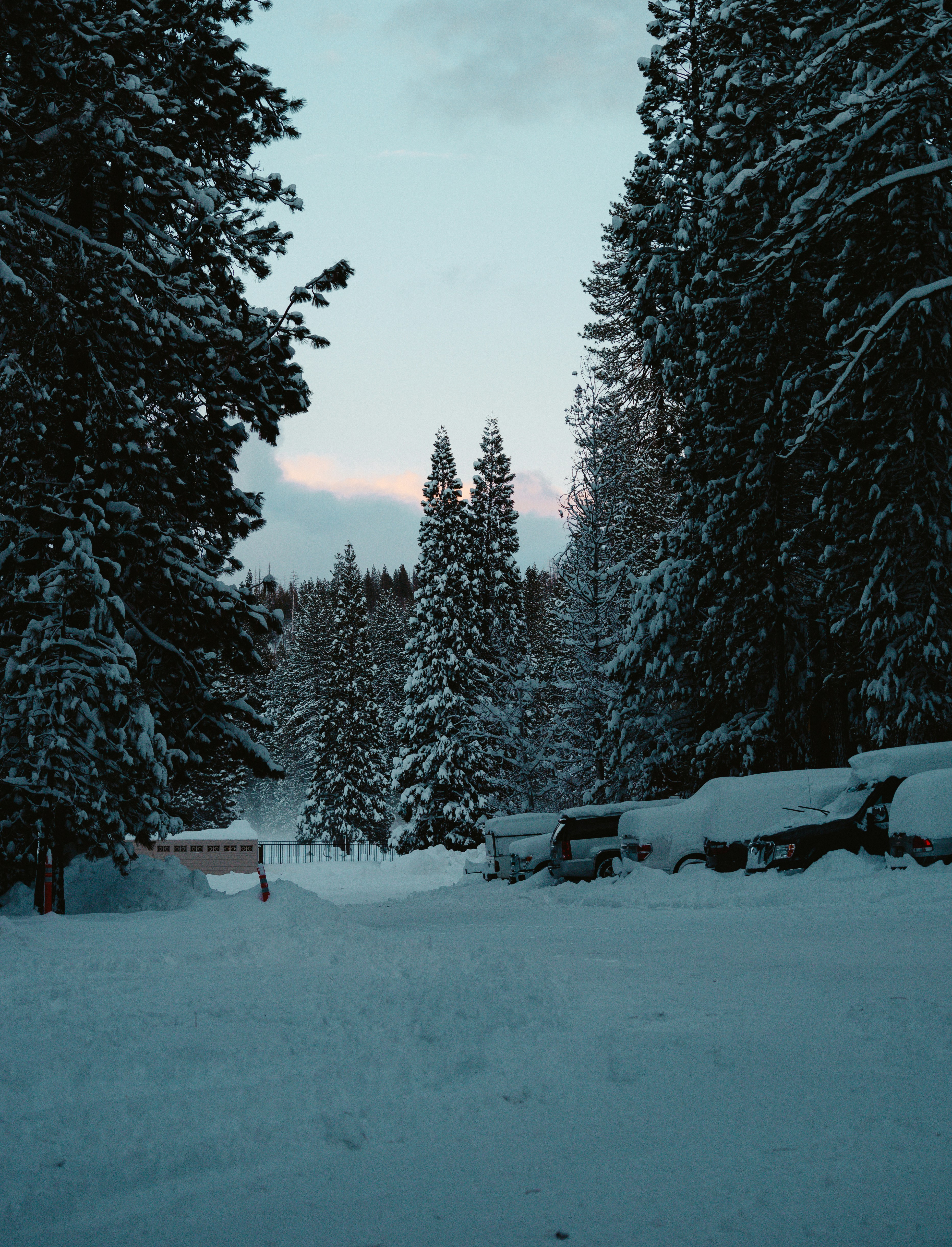 Photo by jeffersonsees