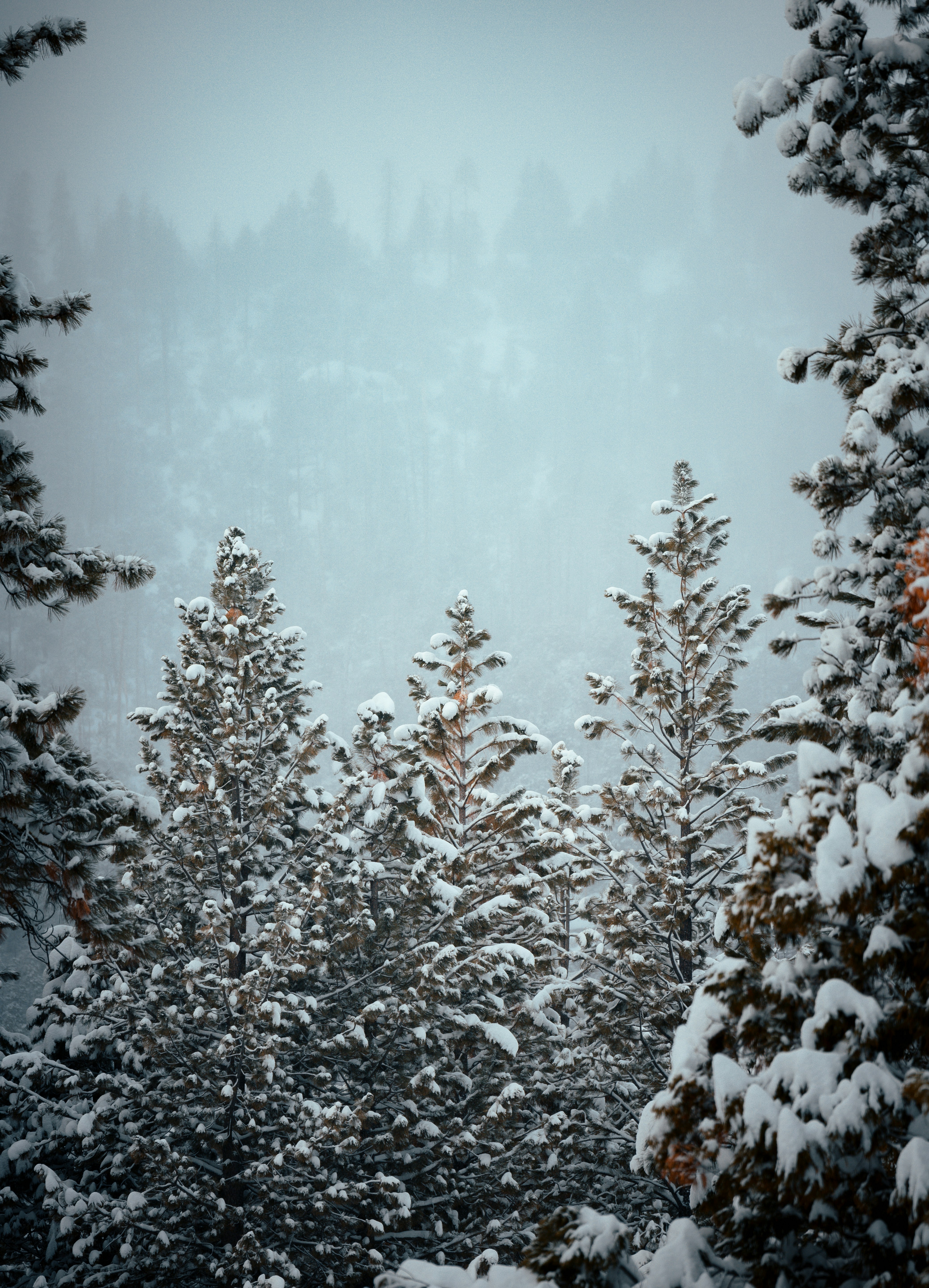 Photo by jeffersonsees