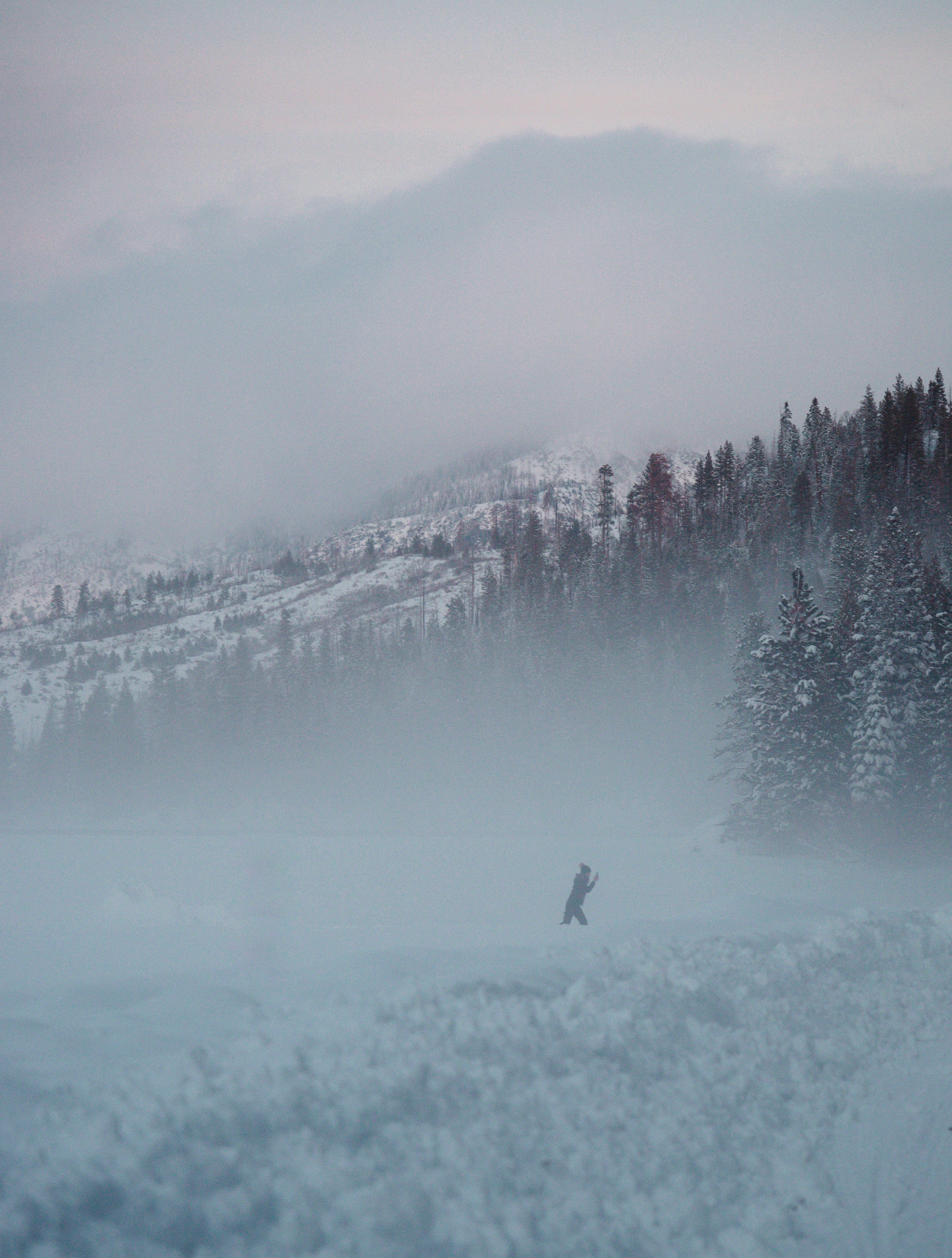 Photo by jeffersonsees