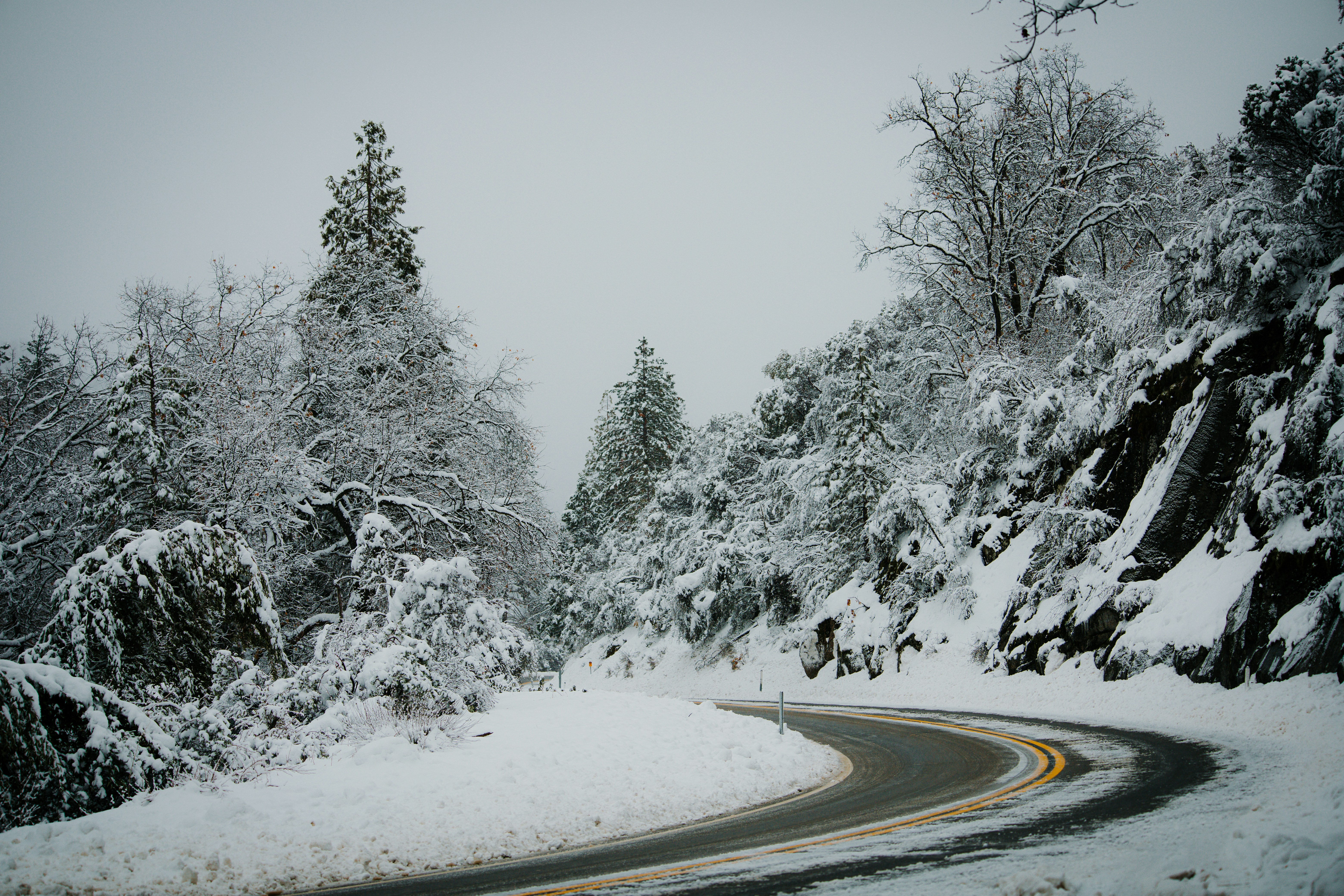 Photo by jeffersonsees