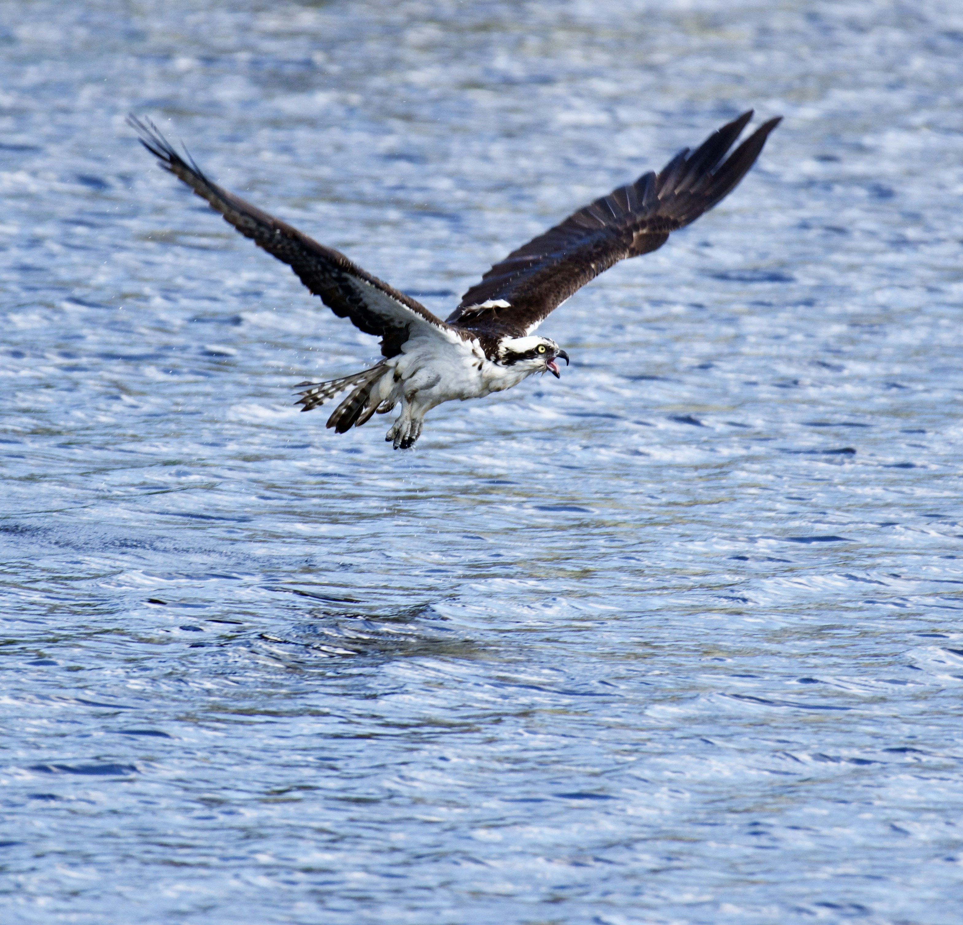 Photo by juliana_chapman