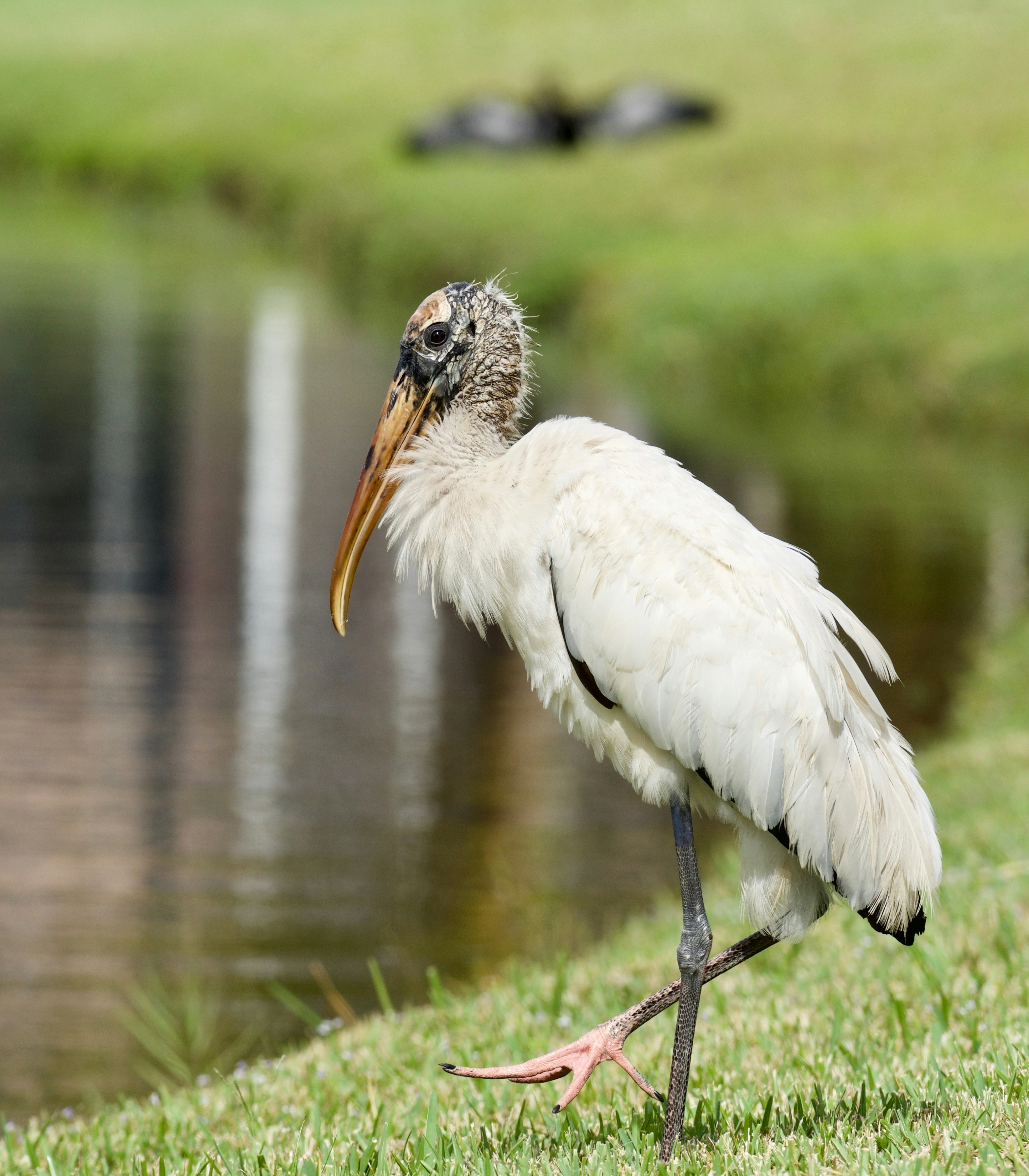 Photo by juliana_chapman