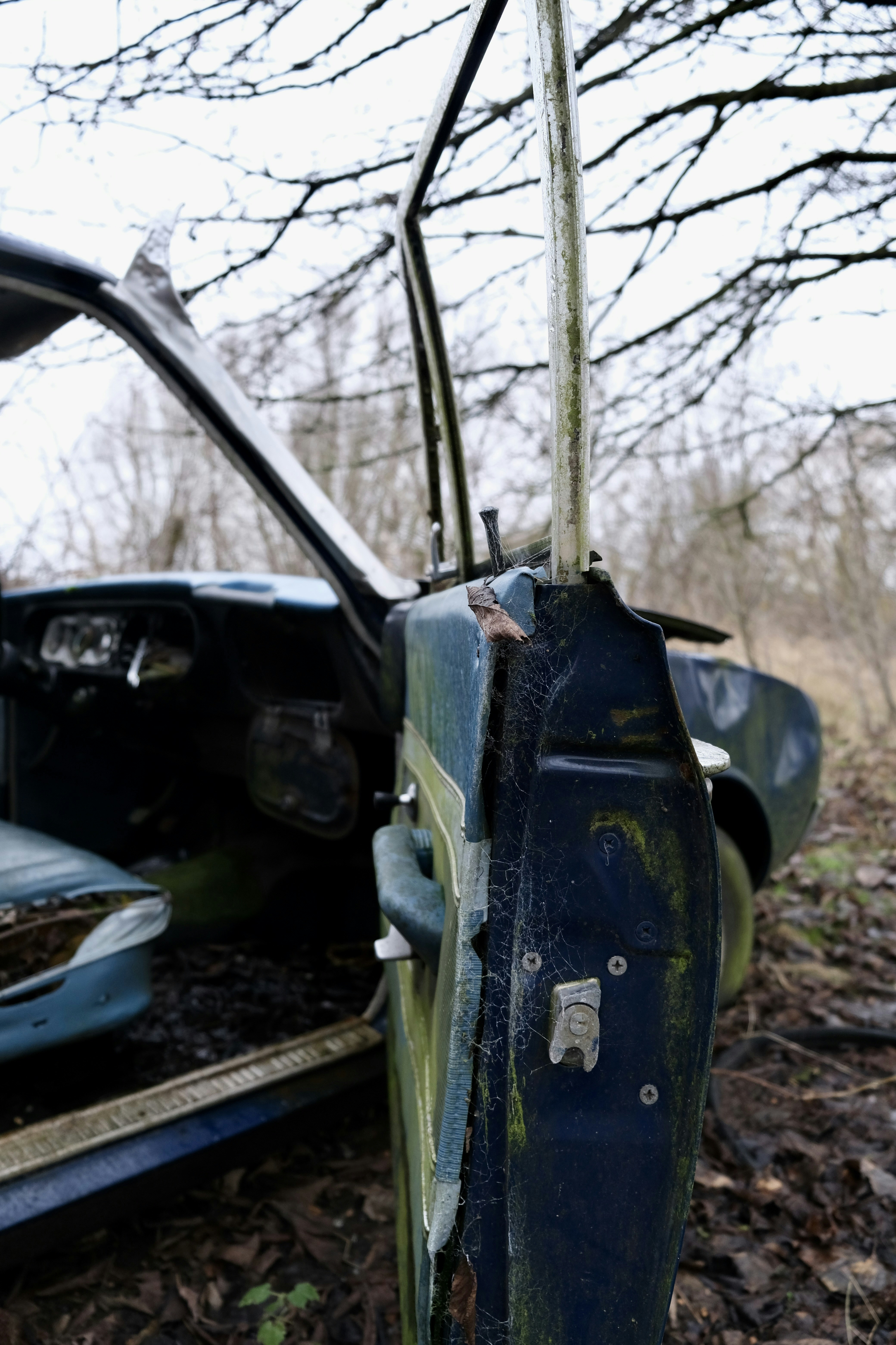 Photo by peter_heymans