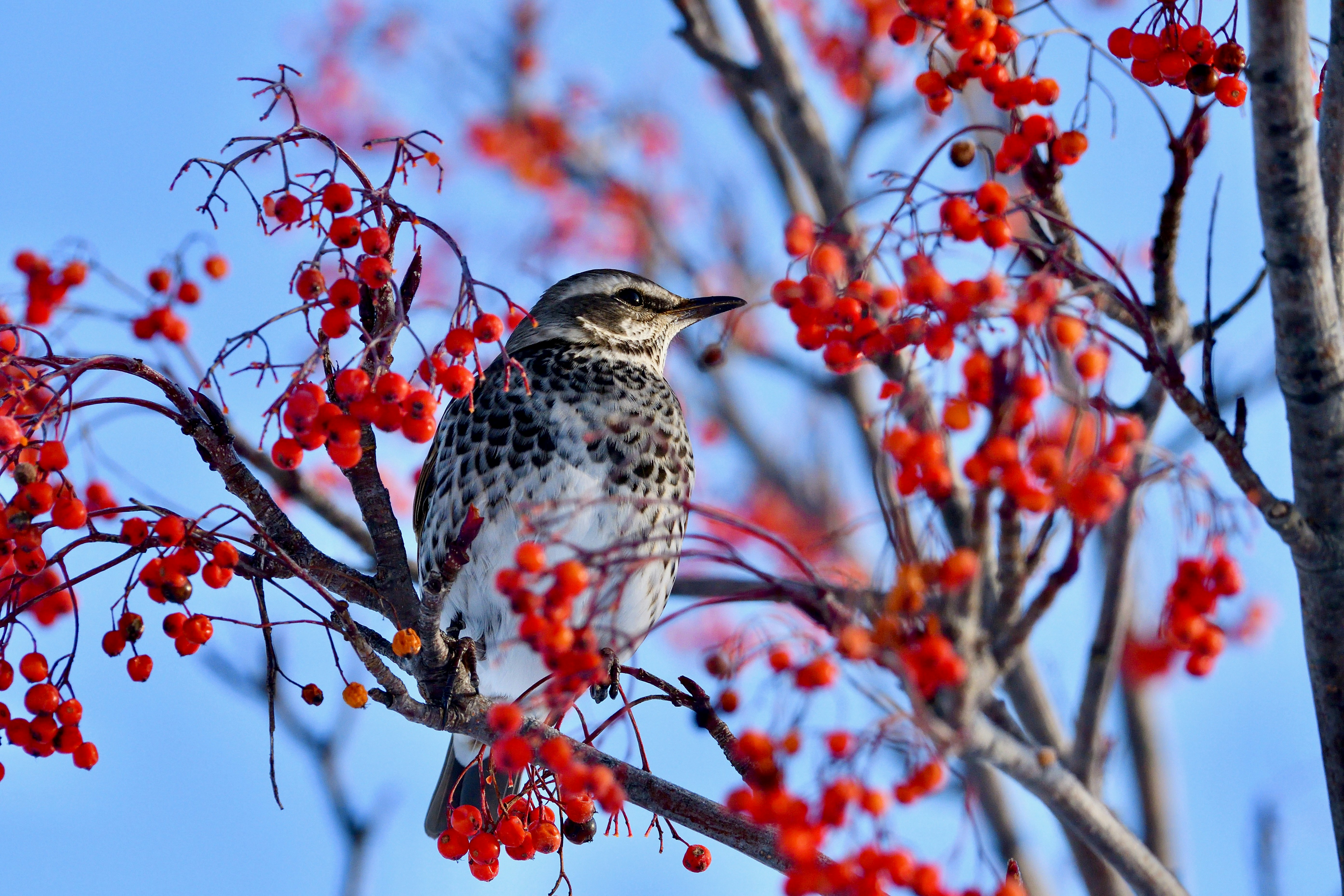 Photo by freezer_nico