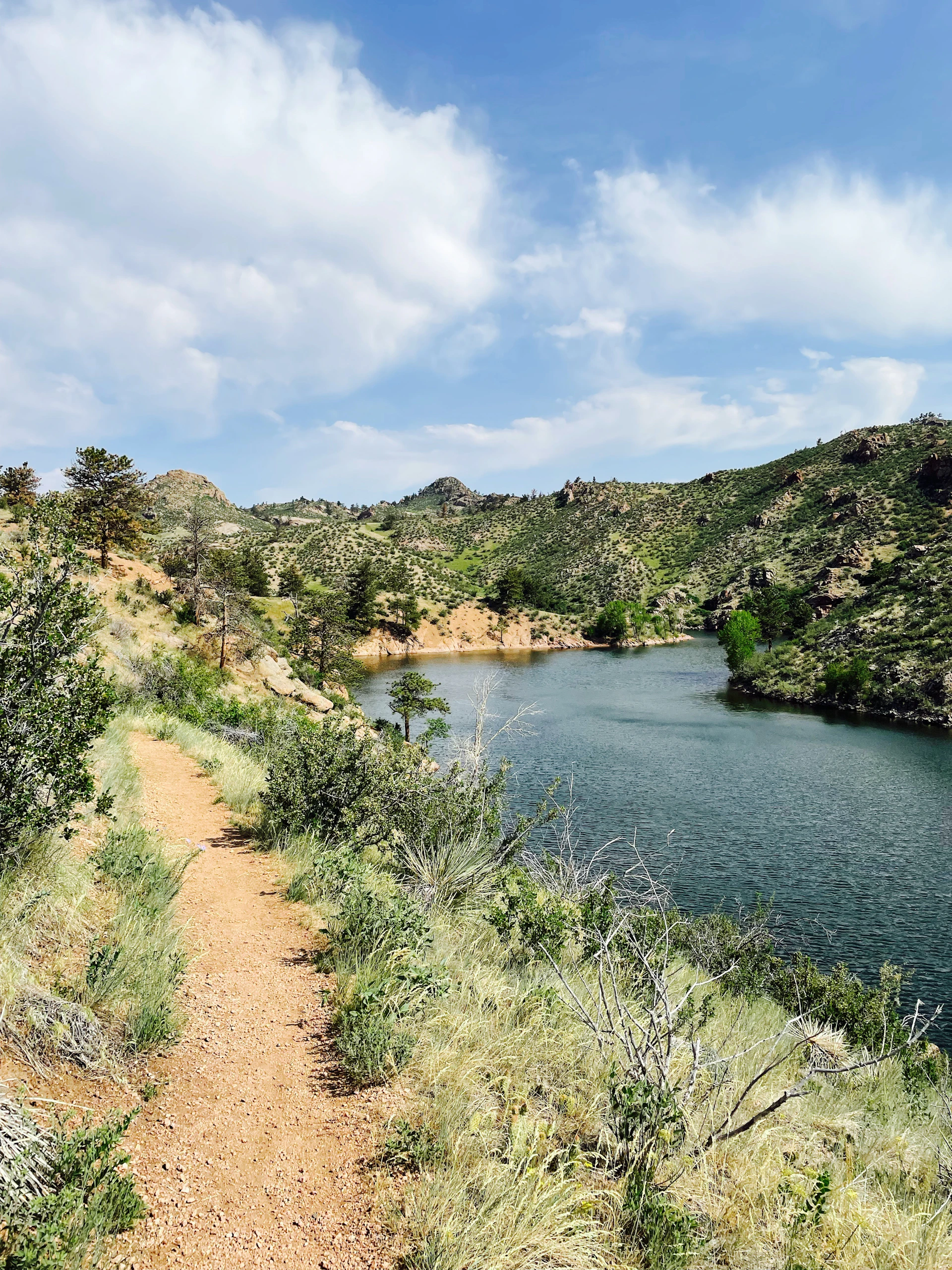 a dirt path next to a body of water