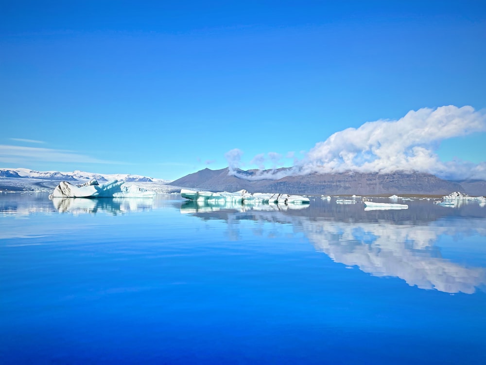 Ein Gewässer mit Eisbergen im Hintergrund