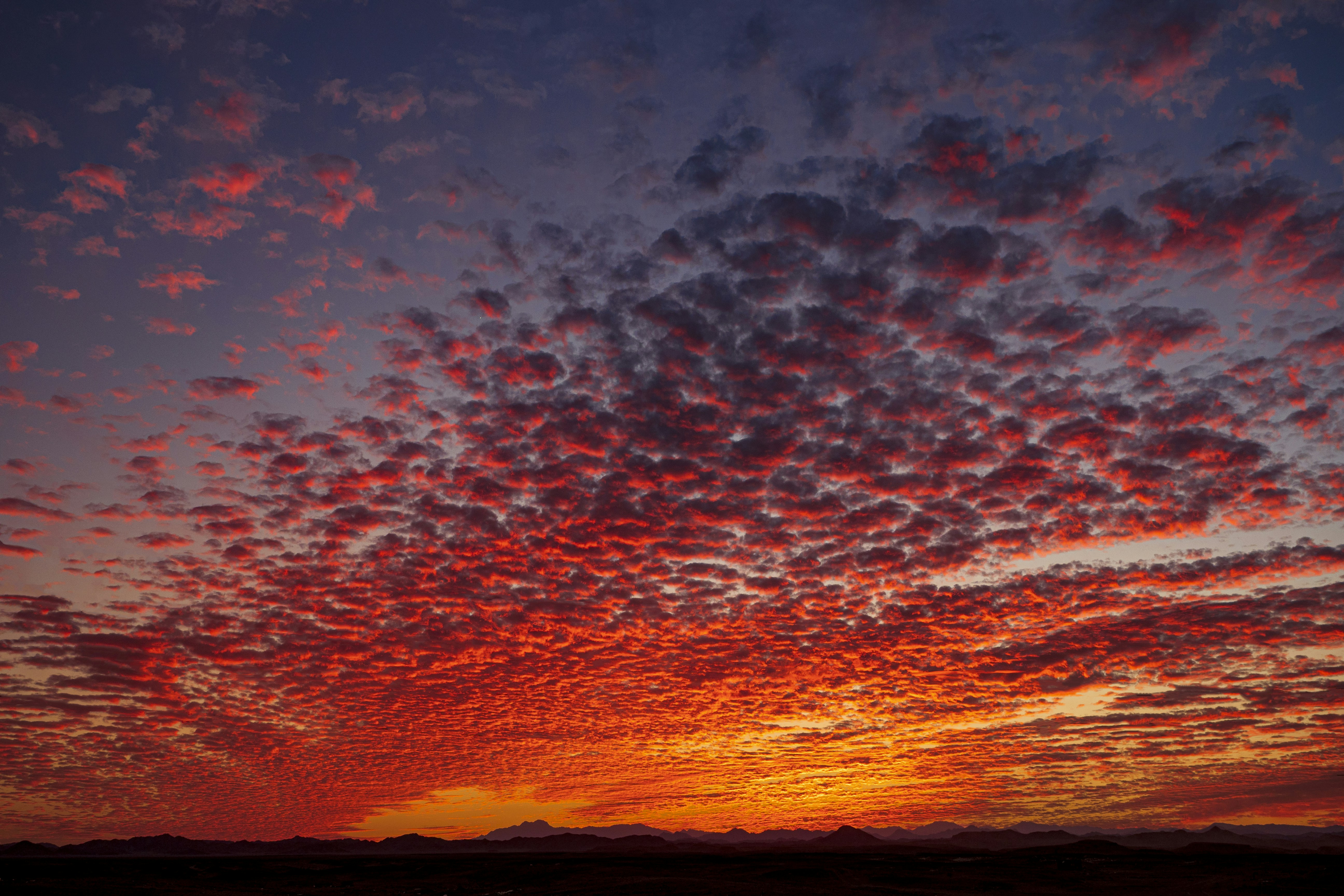 Photo by pascalvendel