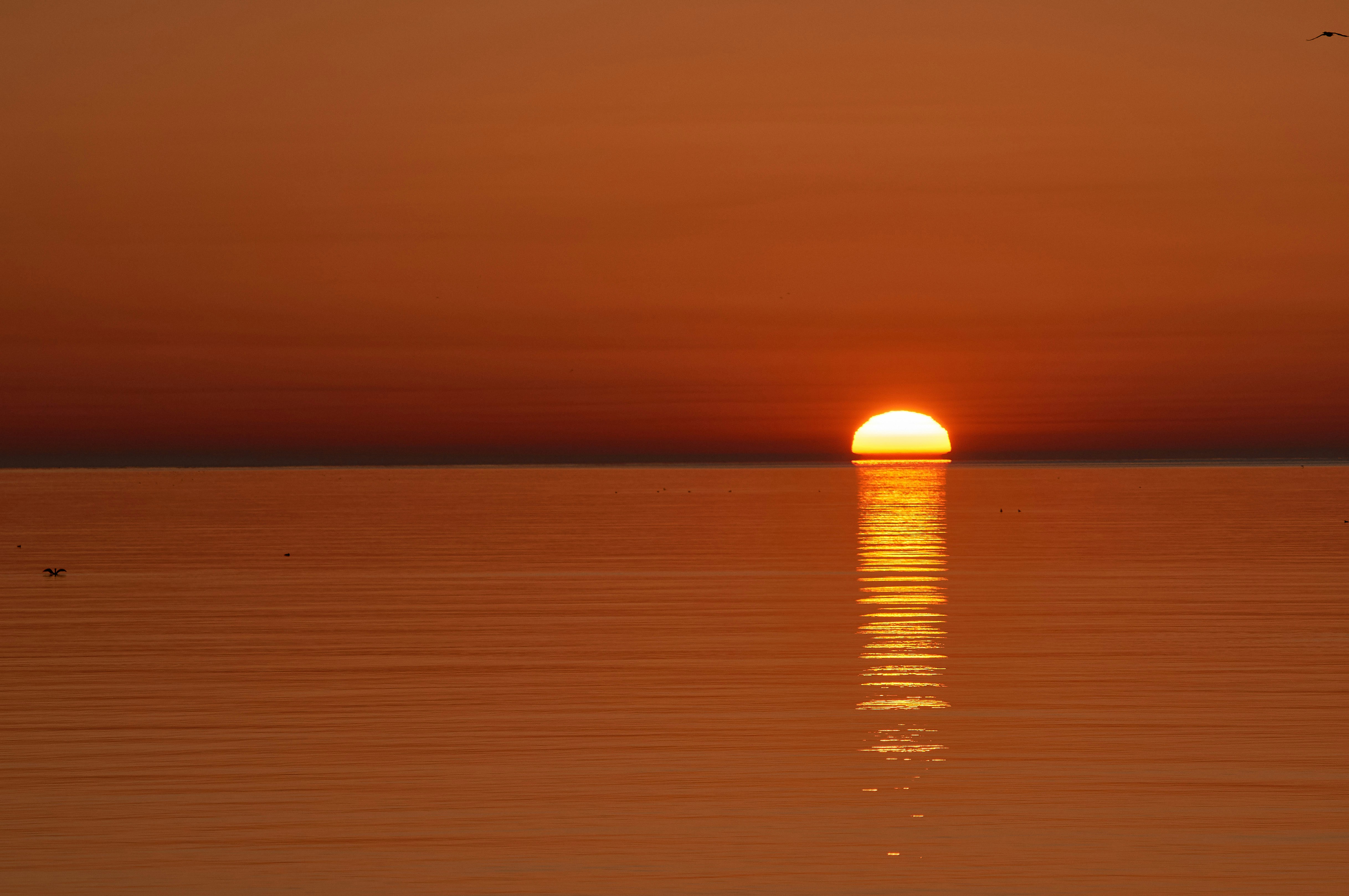 Photo by wolfgang_hasselmann