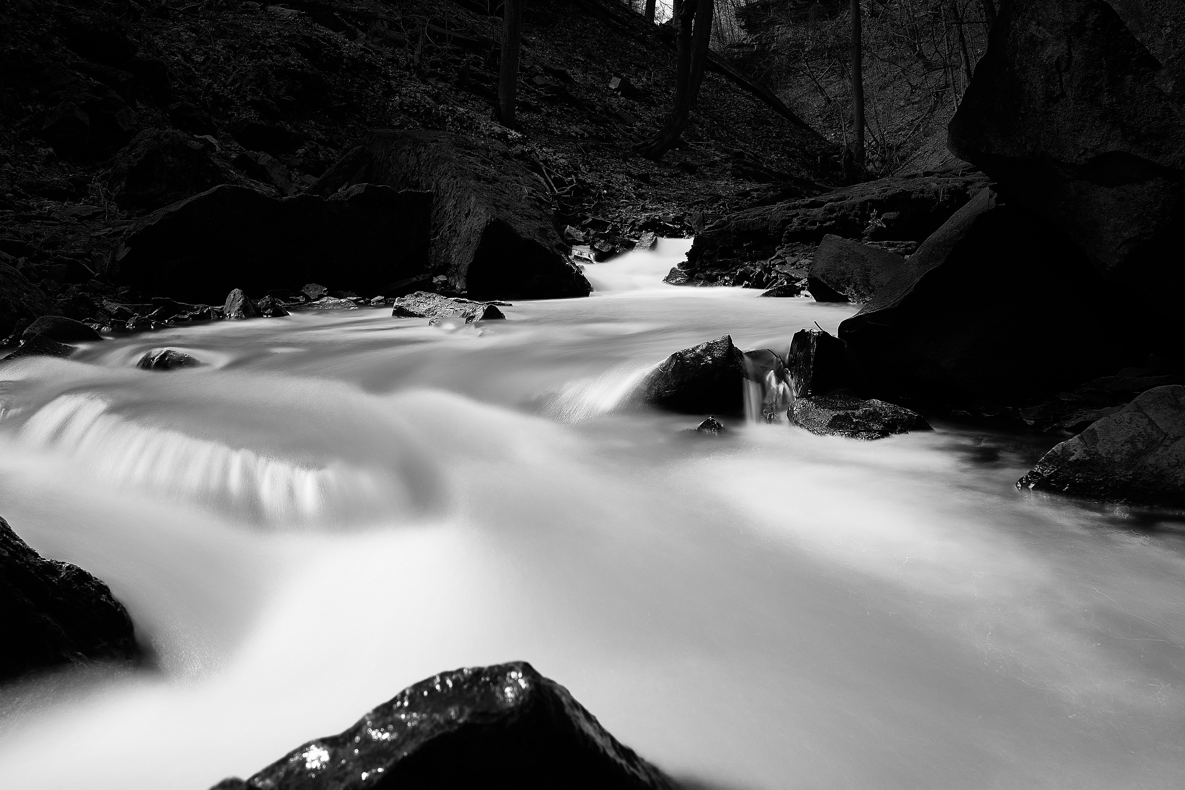 Photo by wolfgang_hasselmann