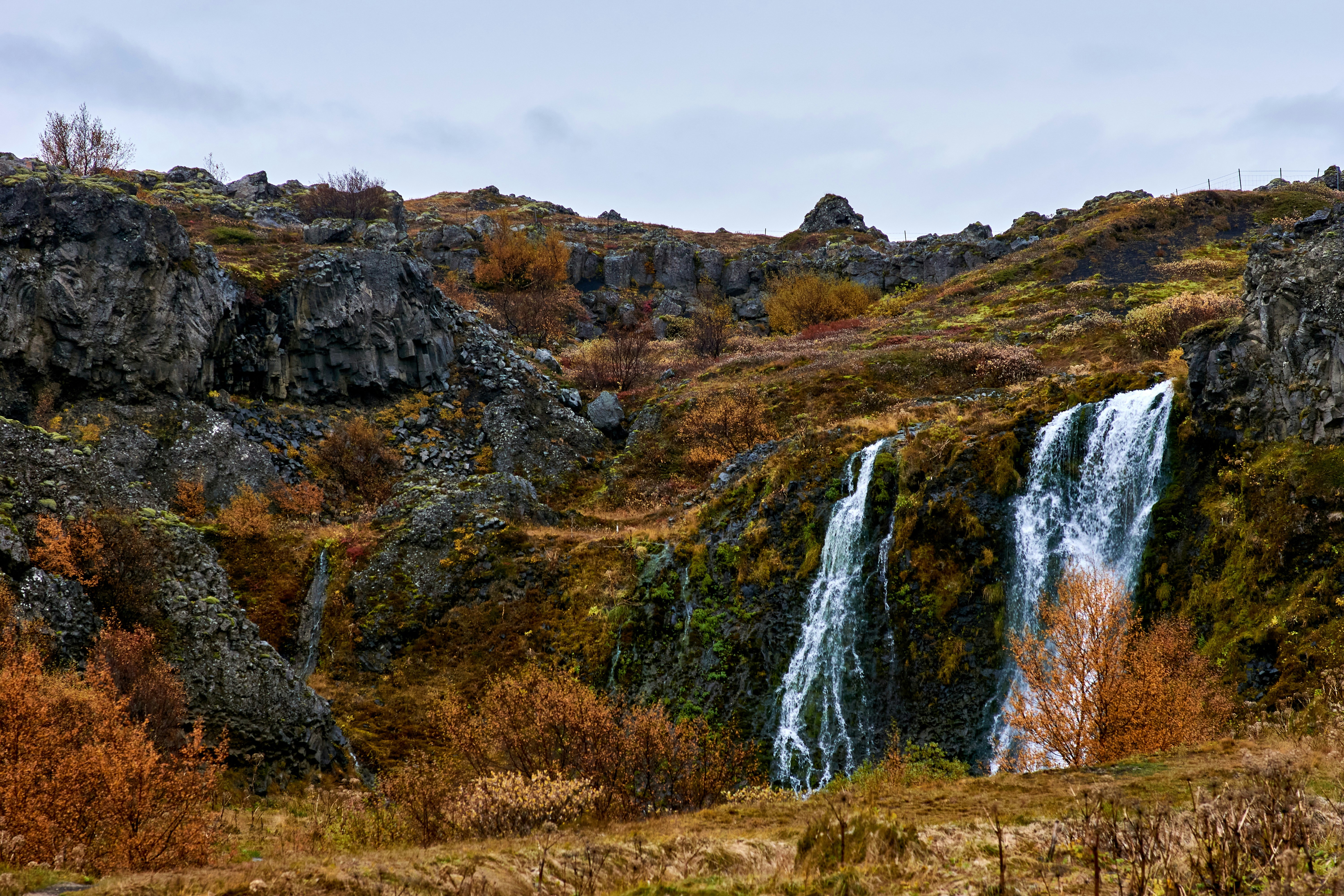 Photo by wolfgang_hasselmann