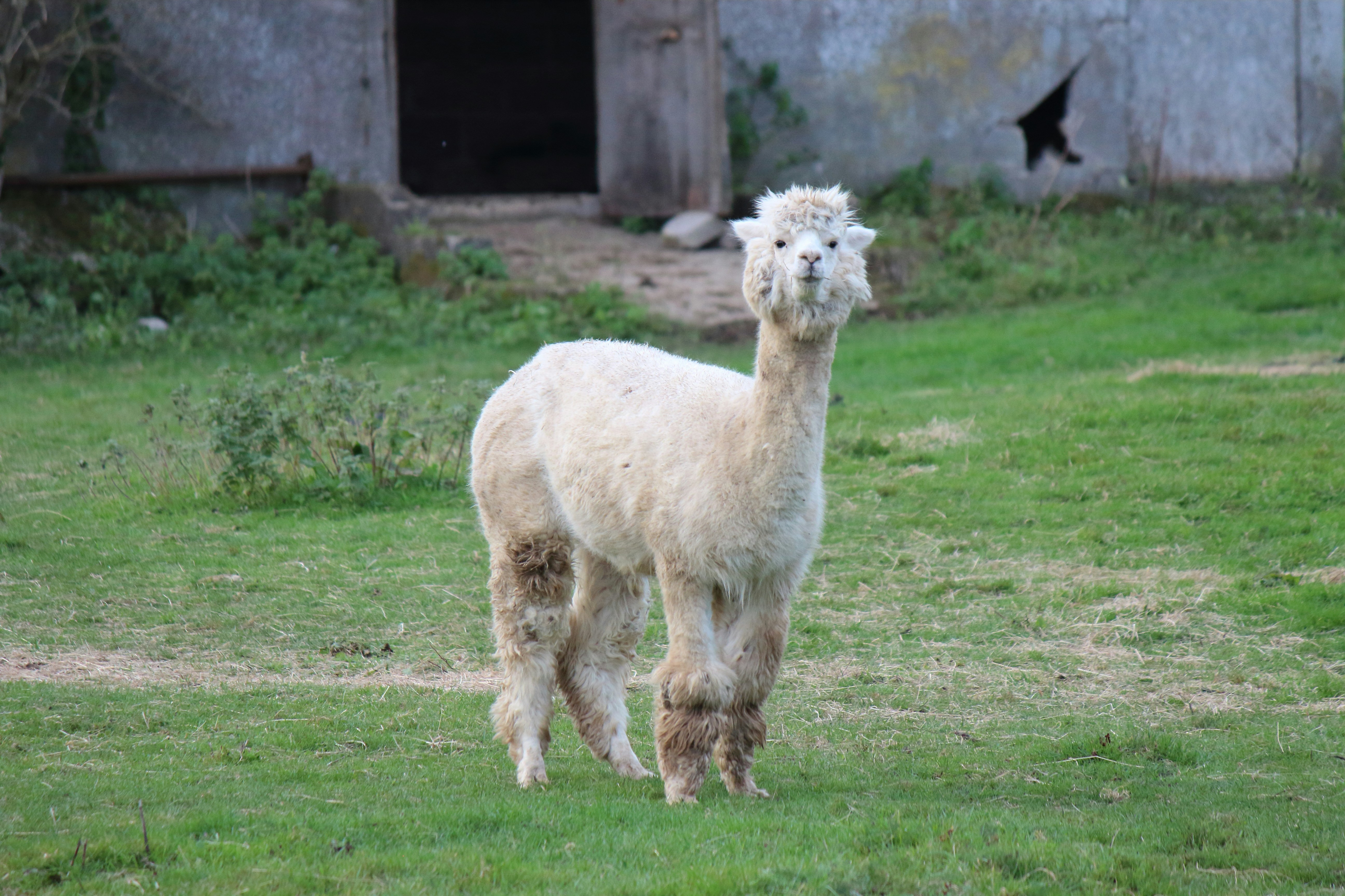 Photo by levelupfilming