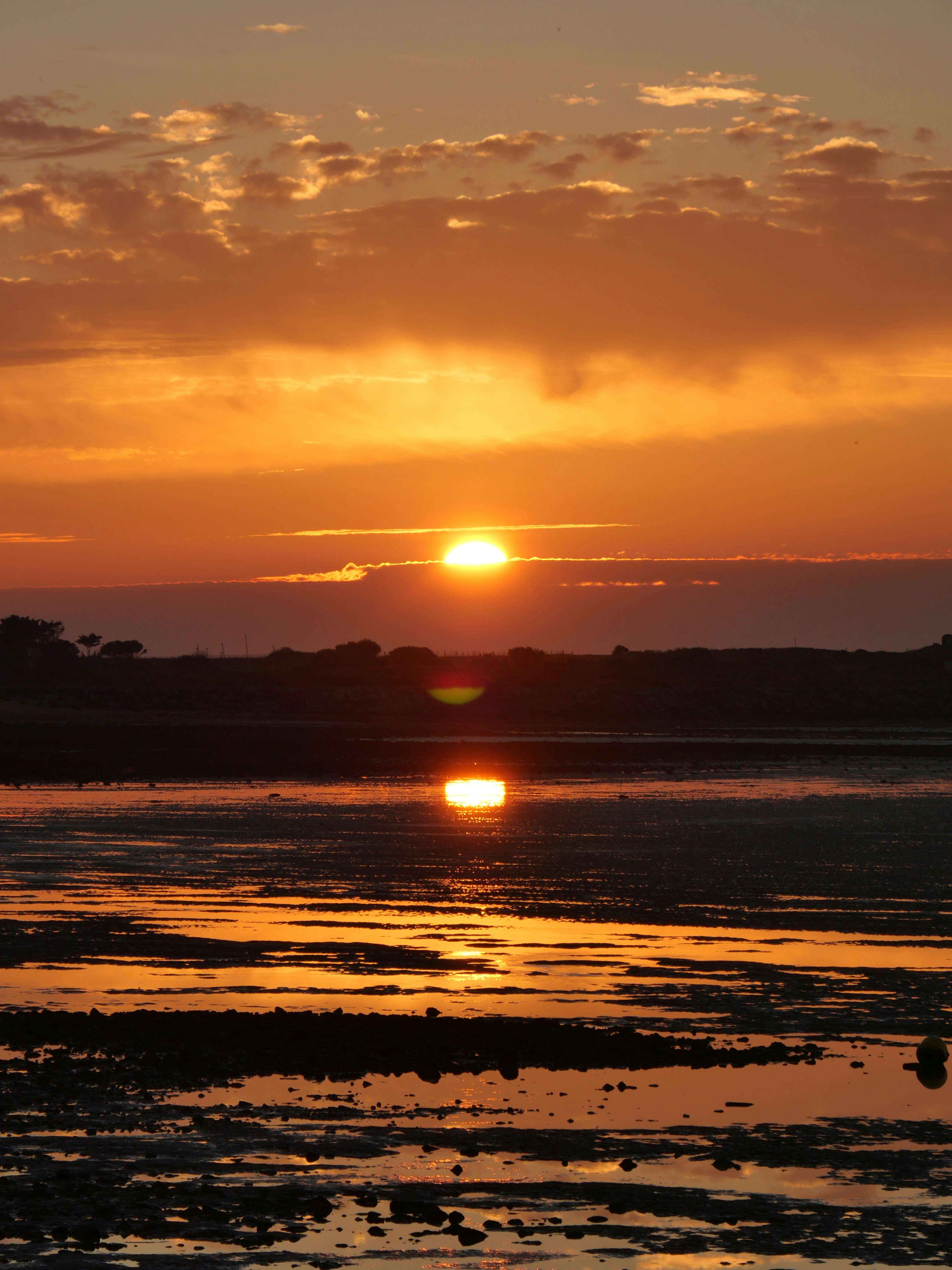 Photo by nimbus_vulpis