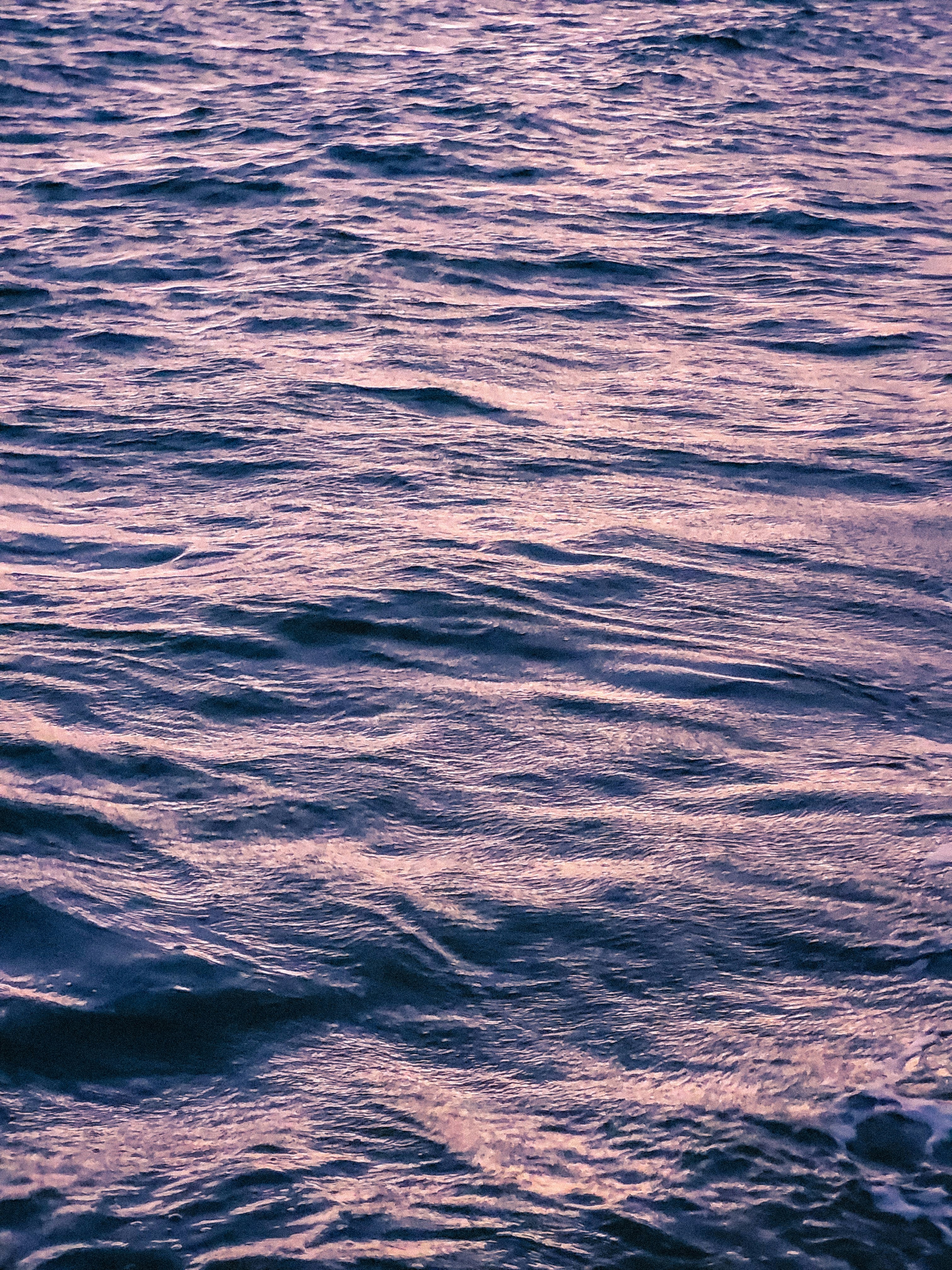 Photo by claitonconto