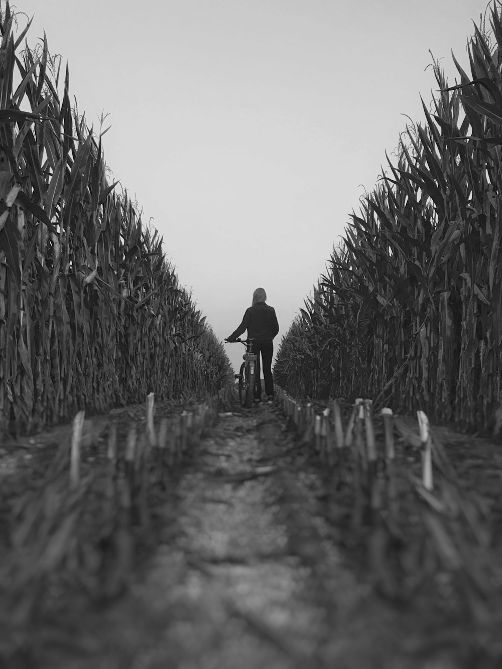 a man riding a bike down a dirt road