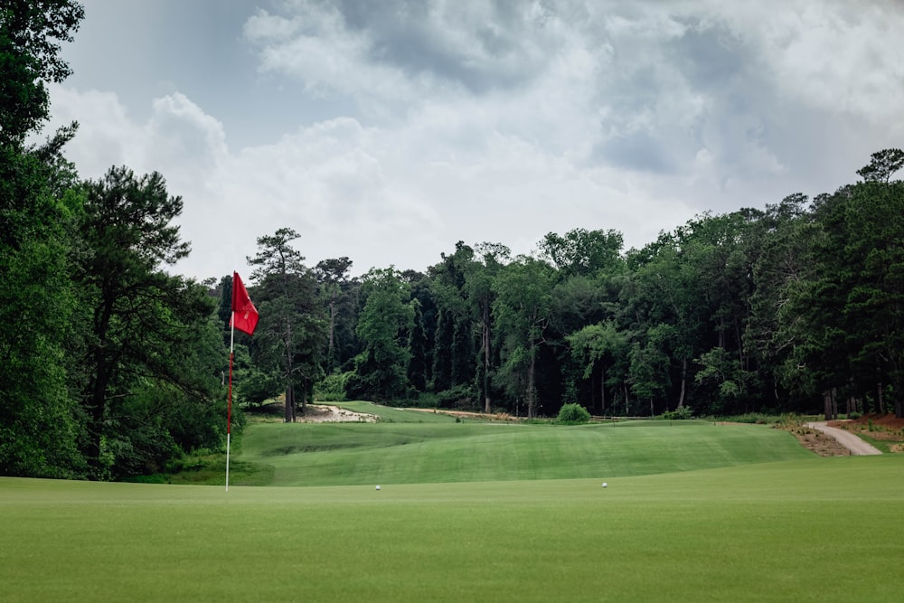 a golf green with a red flag on it