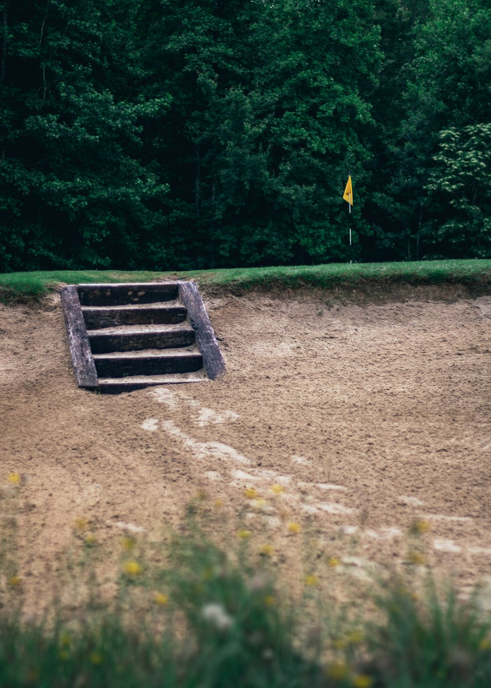 a set of steps in the middle of a dirt field