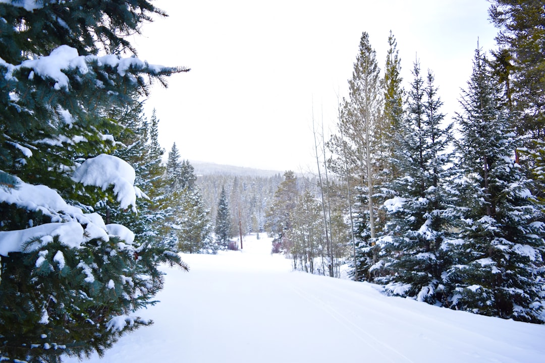 Breckenridge Debuts New Curio Hilton How It Stacks Up For Ski Seaso… — Breckenridge Debuts New Cu…, photo 2
