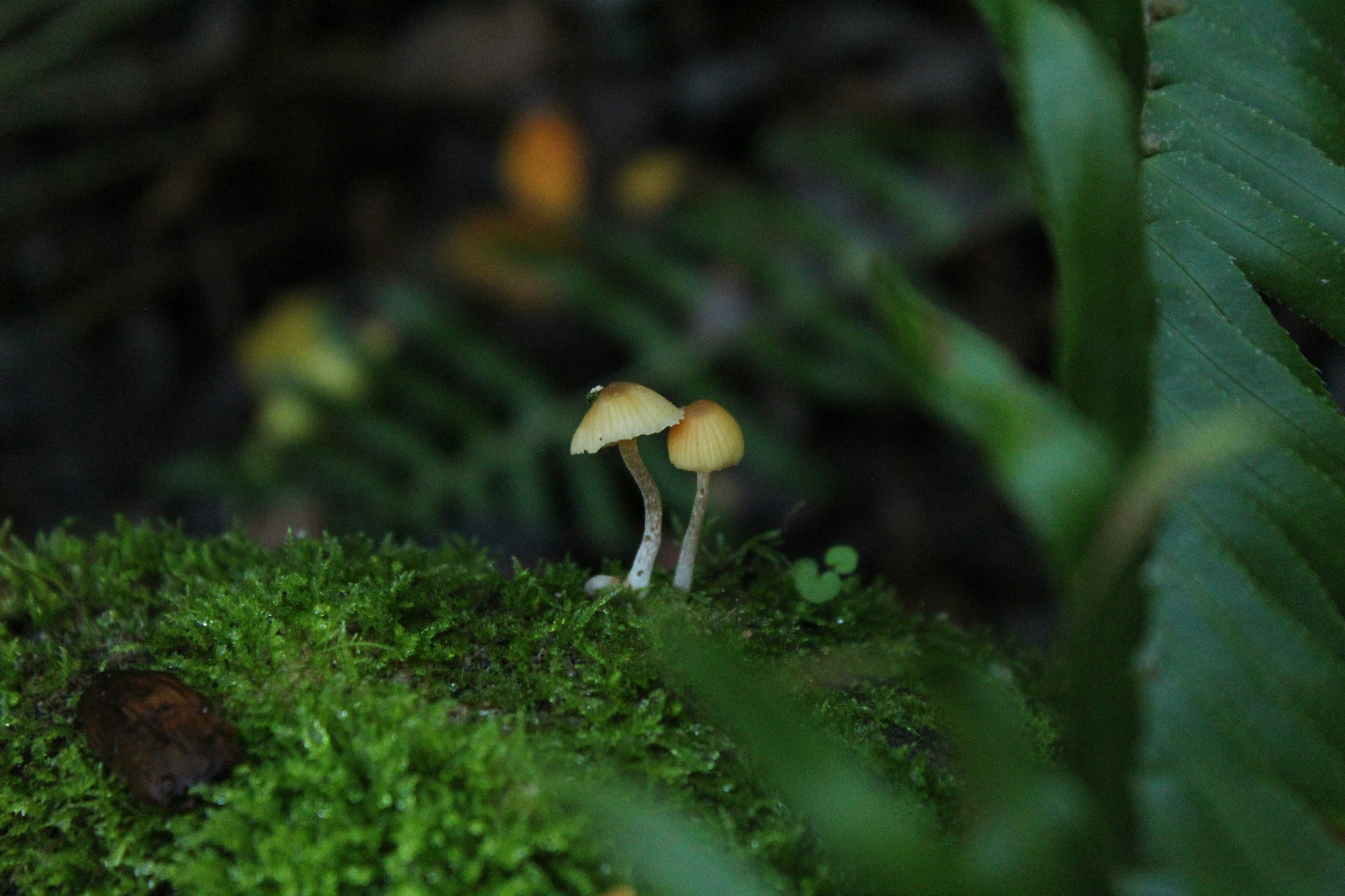 Photo by mbcarterphotography