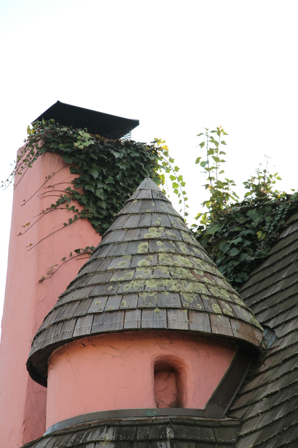 a pink tower with ivy growing on top of it