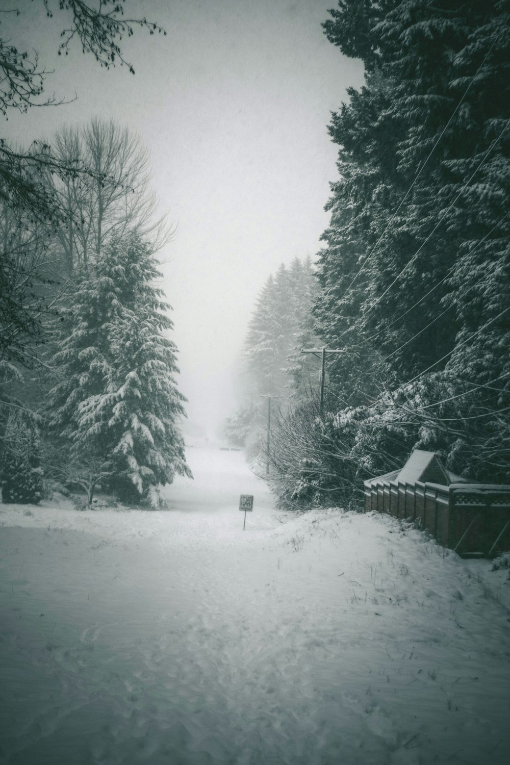 a snow covered road with trees and a sign