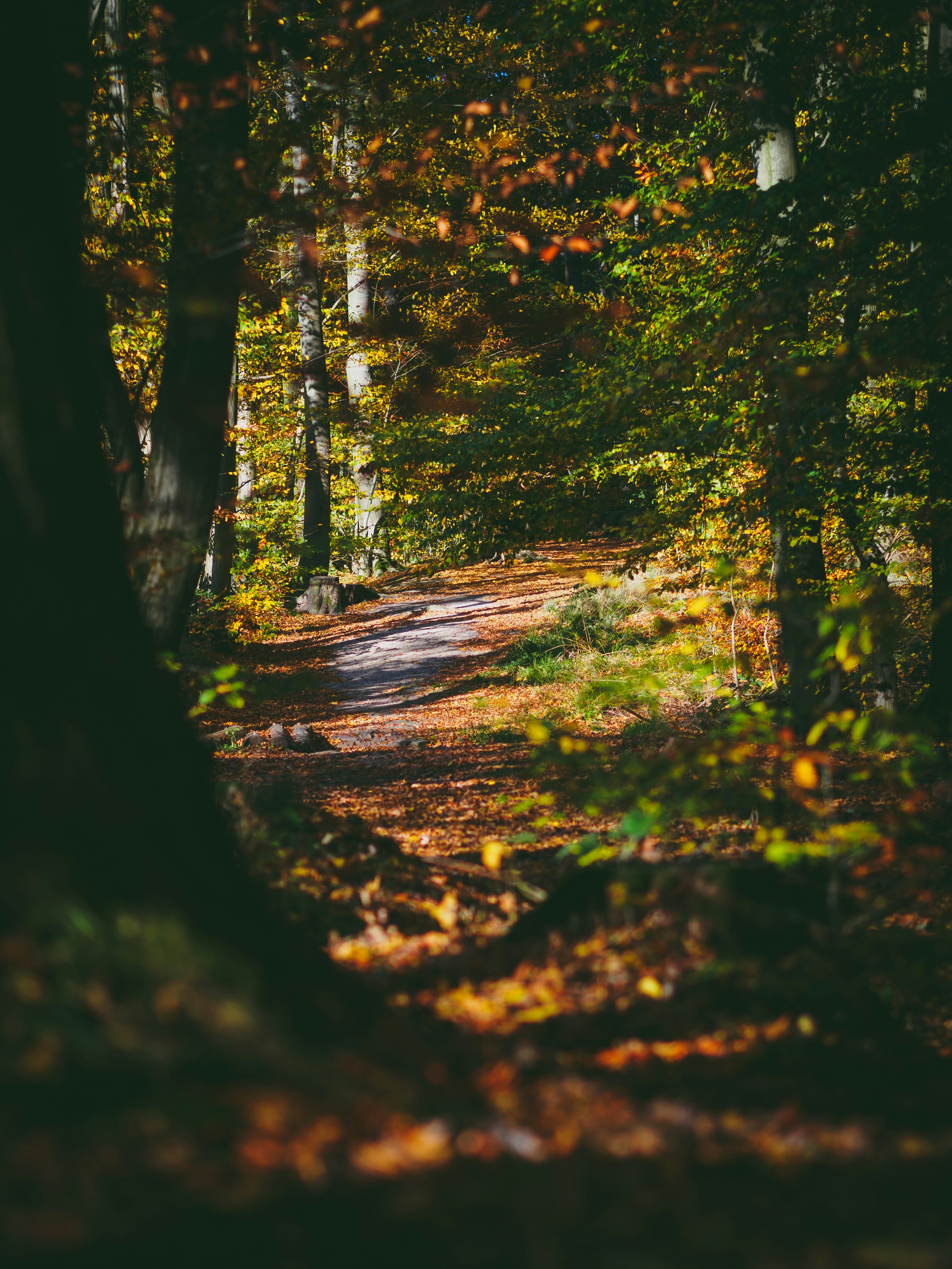 Photo by christiankrebel