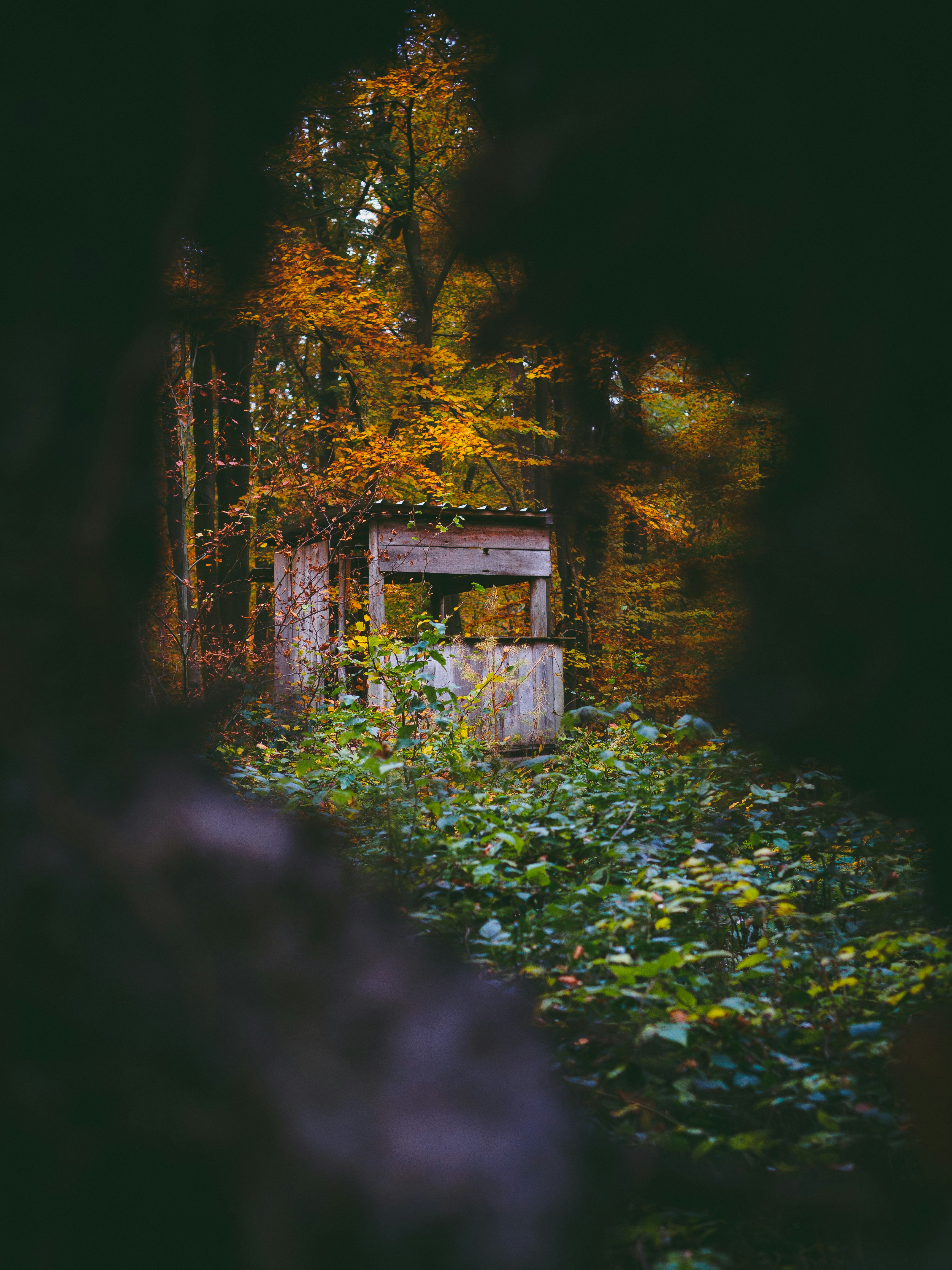 Photo by christiankrebel