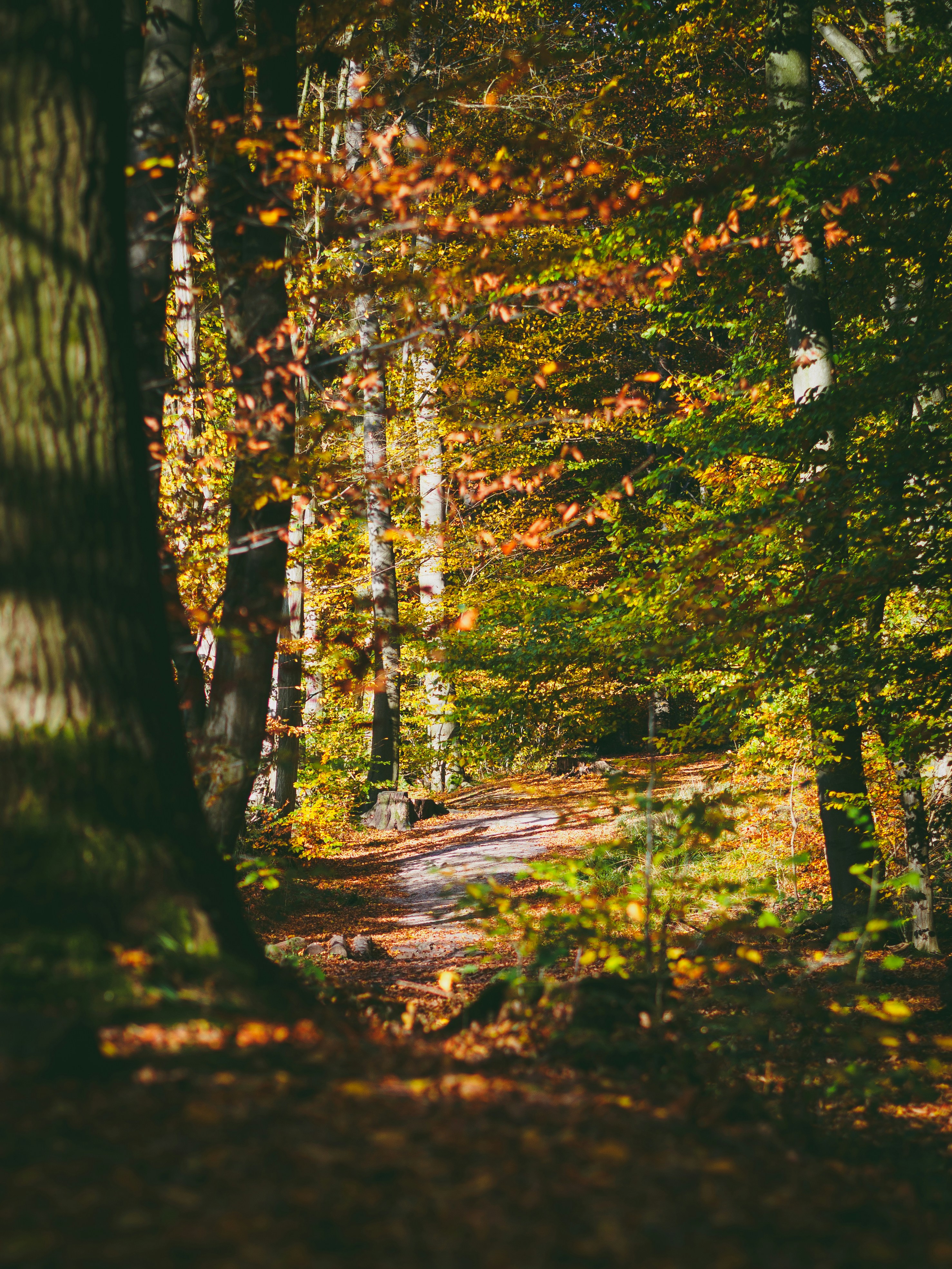 Photo by christiankrebel