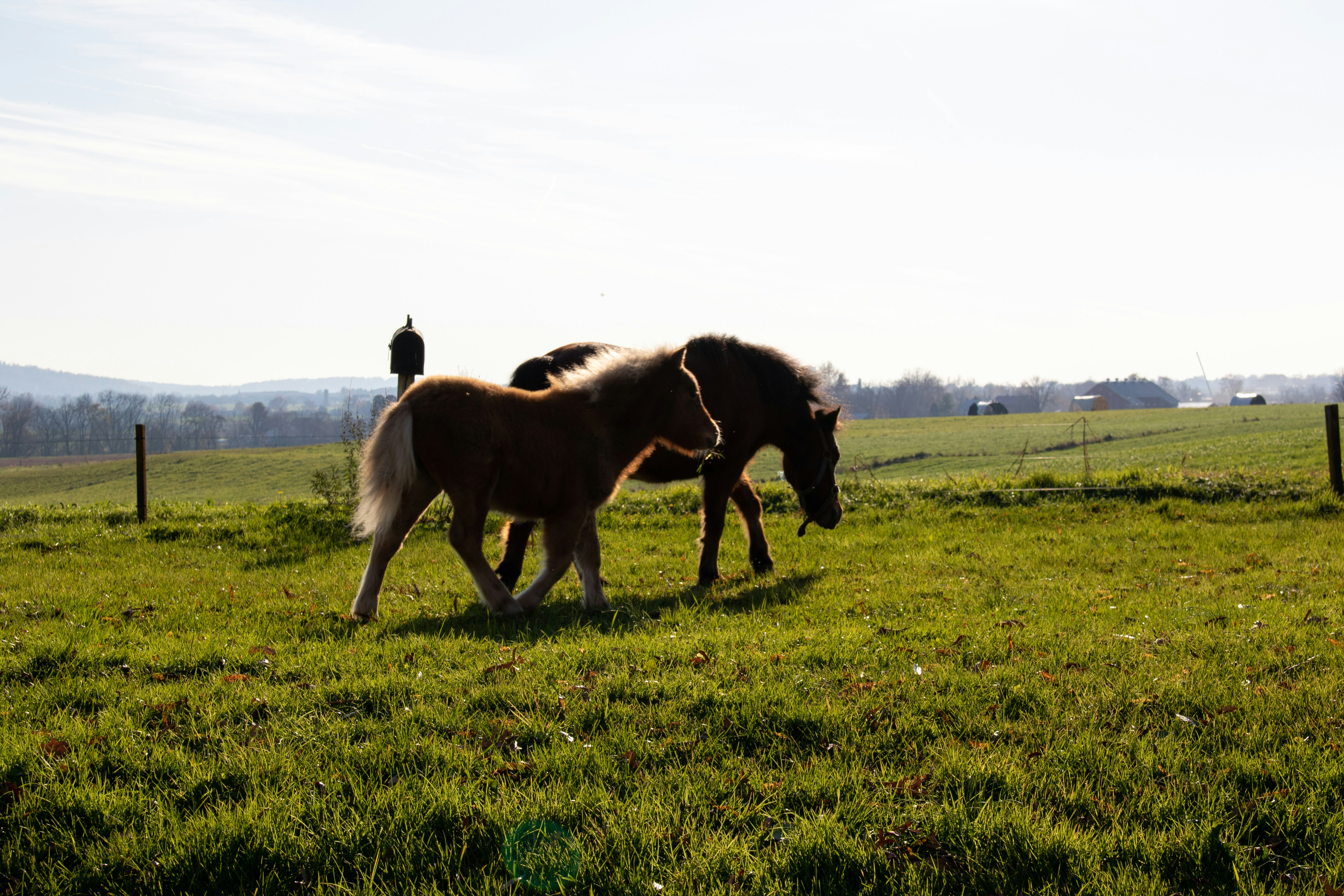 Photo by catt_titude